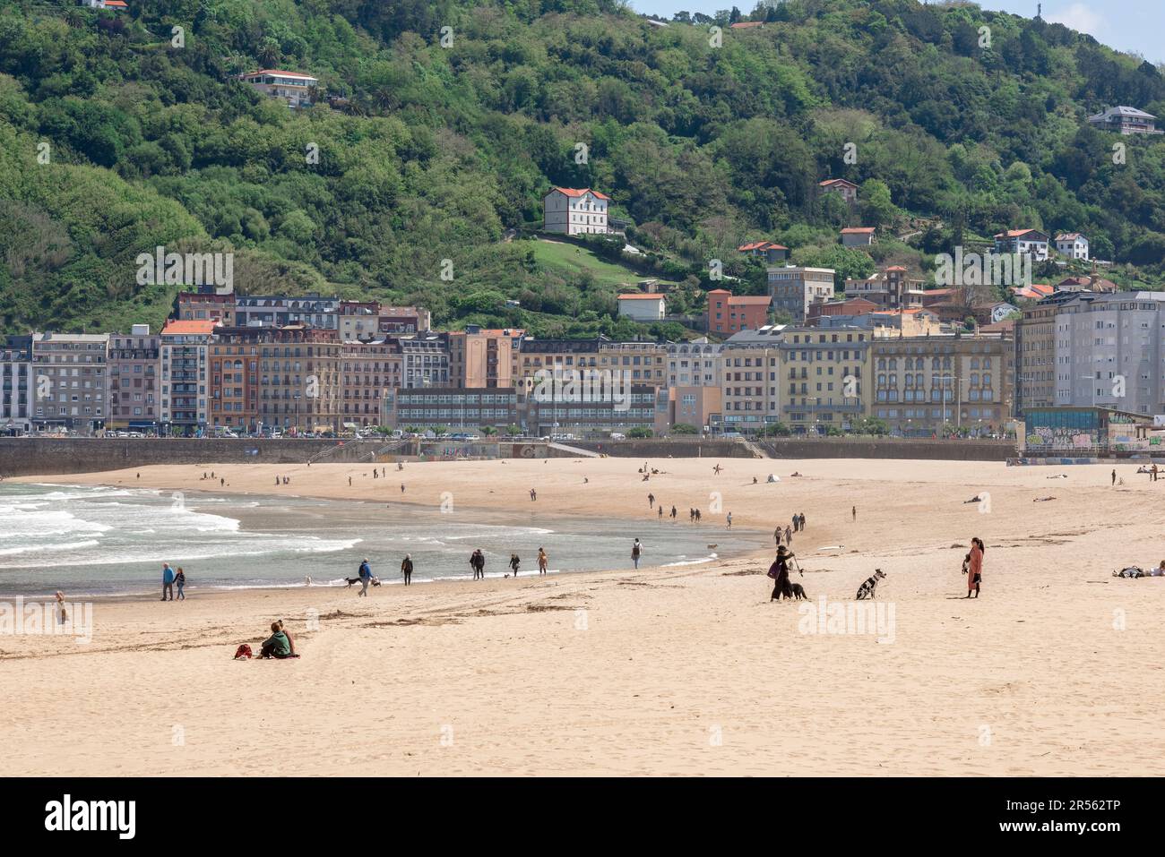 Zurriola Beach San Sebastian, view in summer of the Playa de la Zurriola,  a popular surfers' beach in the Gros district of San Sebastian, Spain. Stock Photo