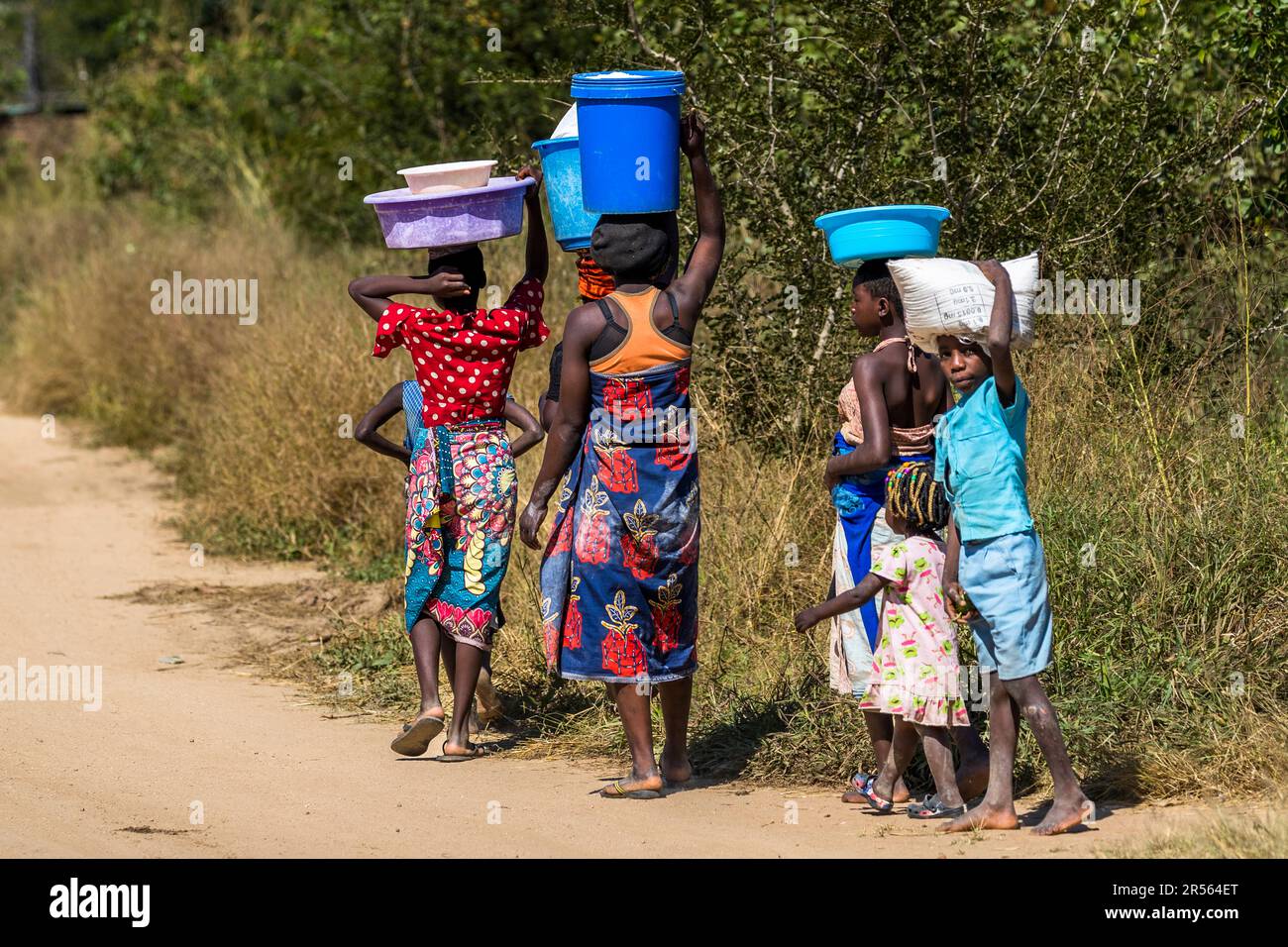 Painted maize flour is the most important staple food in Malawi