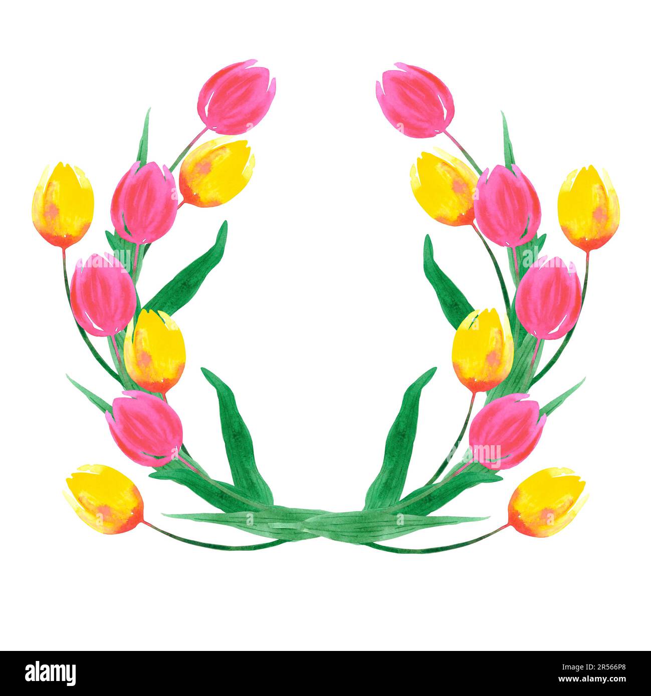 Hand drawn watercolor pink and yellow tulips wreath on white background ...