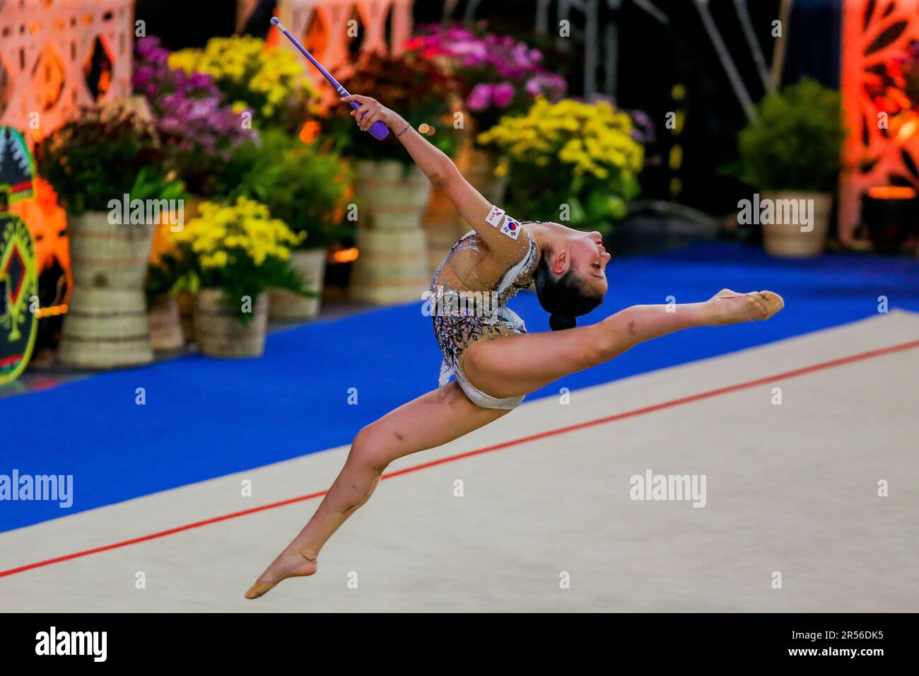 Manila. 1st June, 2023. Sohn Jiin of South Korea competes during the clubs event of senior qualifications at the 14th Senior and 19th Junior Rhythmic Gymnastics Asian Championships in Manila, the Philippines on June 1, 2023. Credit: Rouelle Umali/Xinhua/Alamy Live News Stock Photo