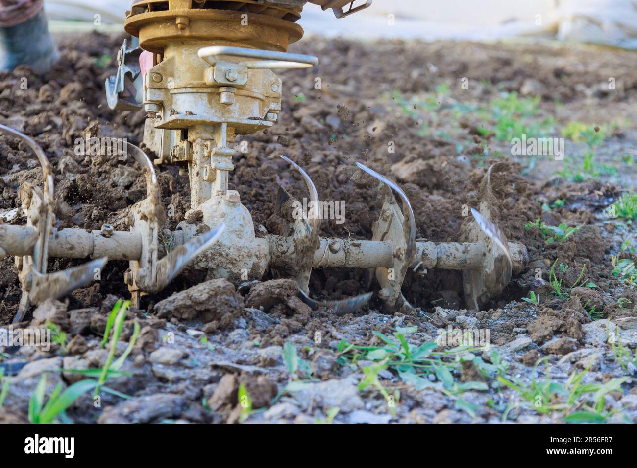 Using motor cultivator in garden farmer ploughs ground with tiller