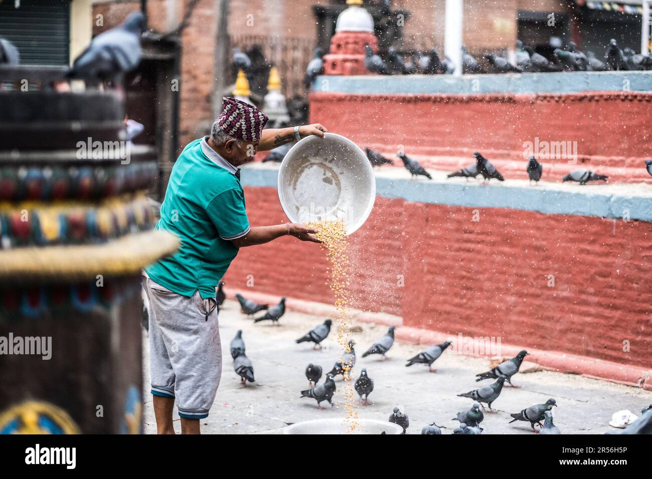 Kathmandu, Nepal - 06 October 2017: Old Nepalese man feeding pigeons with corn seeds in Durbar Square, Kathmandu, Nepal Stock Photo