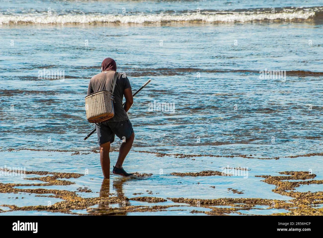 Clam digging hires stock photography and images Alamy