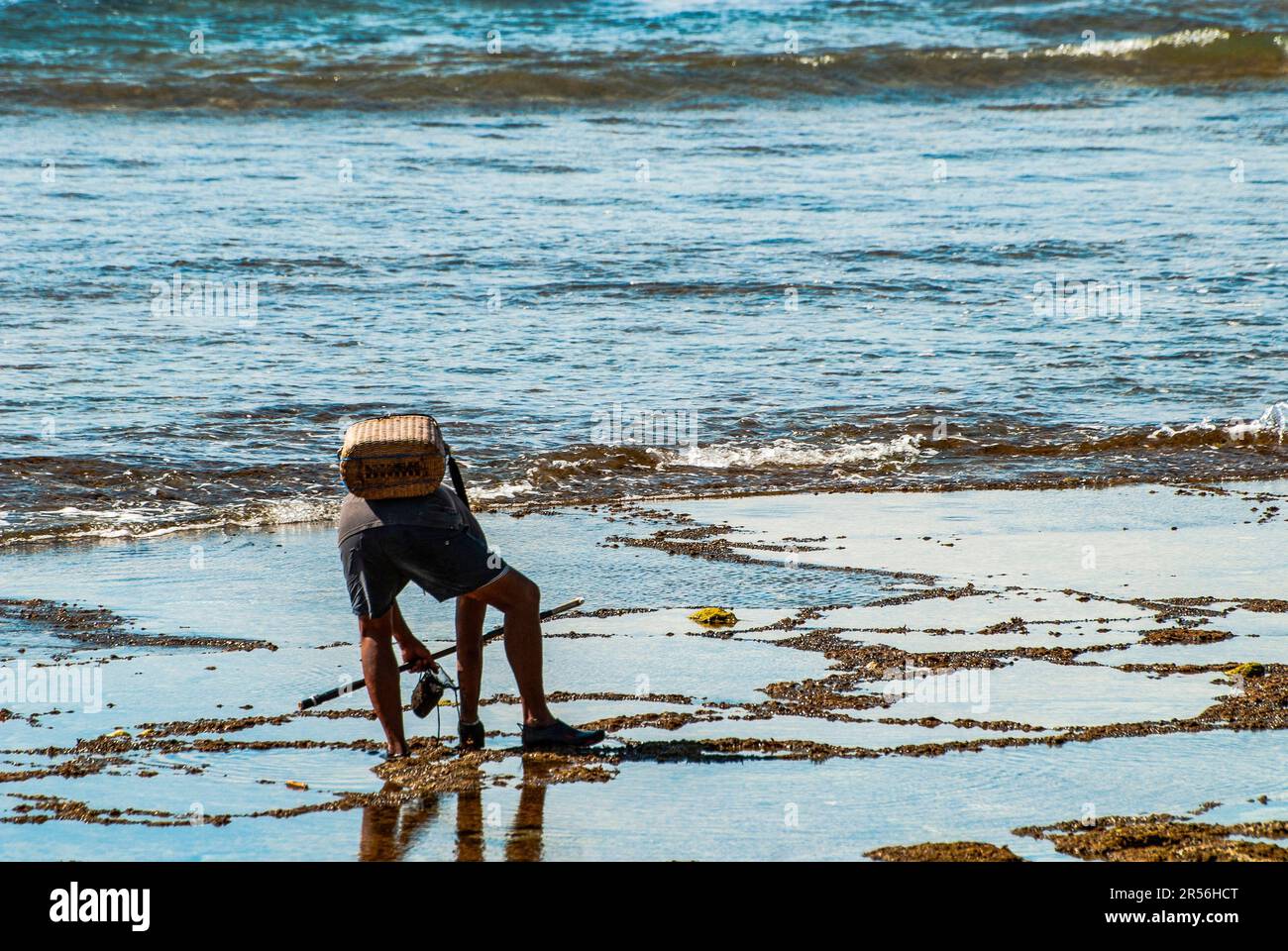 Clam digging hires stock photography and images Alamy
