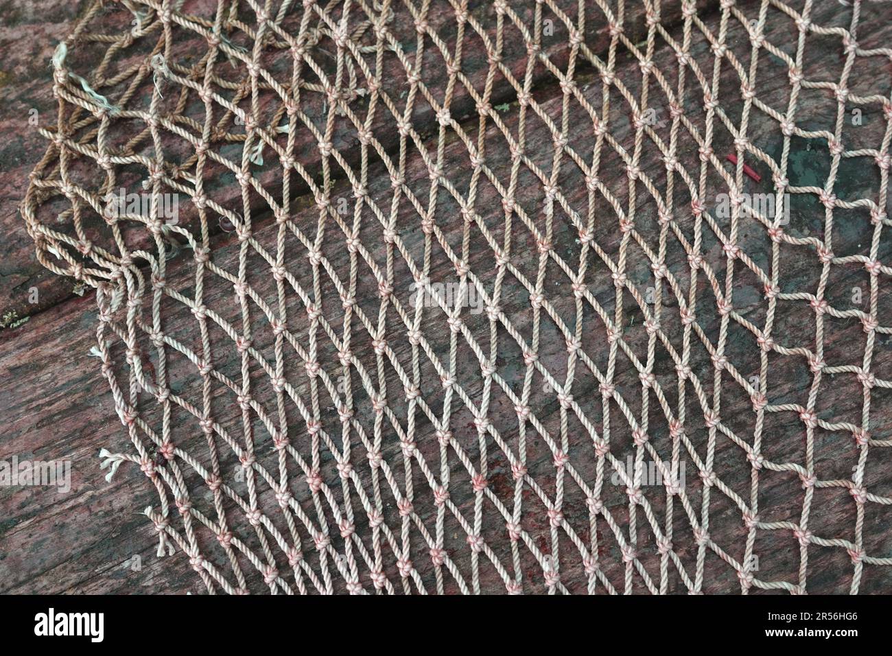 Closeup abstract fishnet on white hi-res stock photography and images -  Alamy