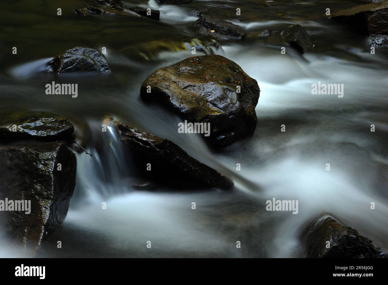 Melincourt Brook just below Melincourt Falls. Stock Photo