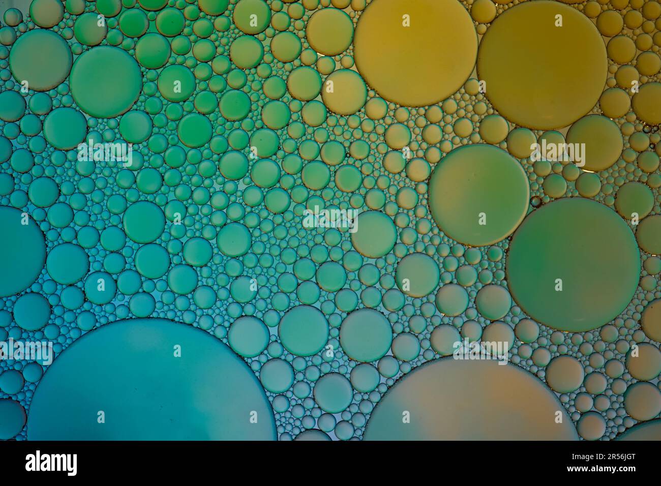 multi colored oil circles on the water, colorful background Stock Photo ...