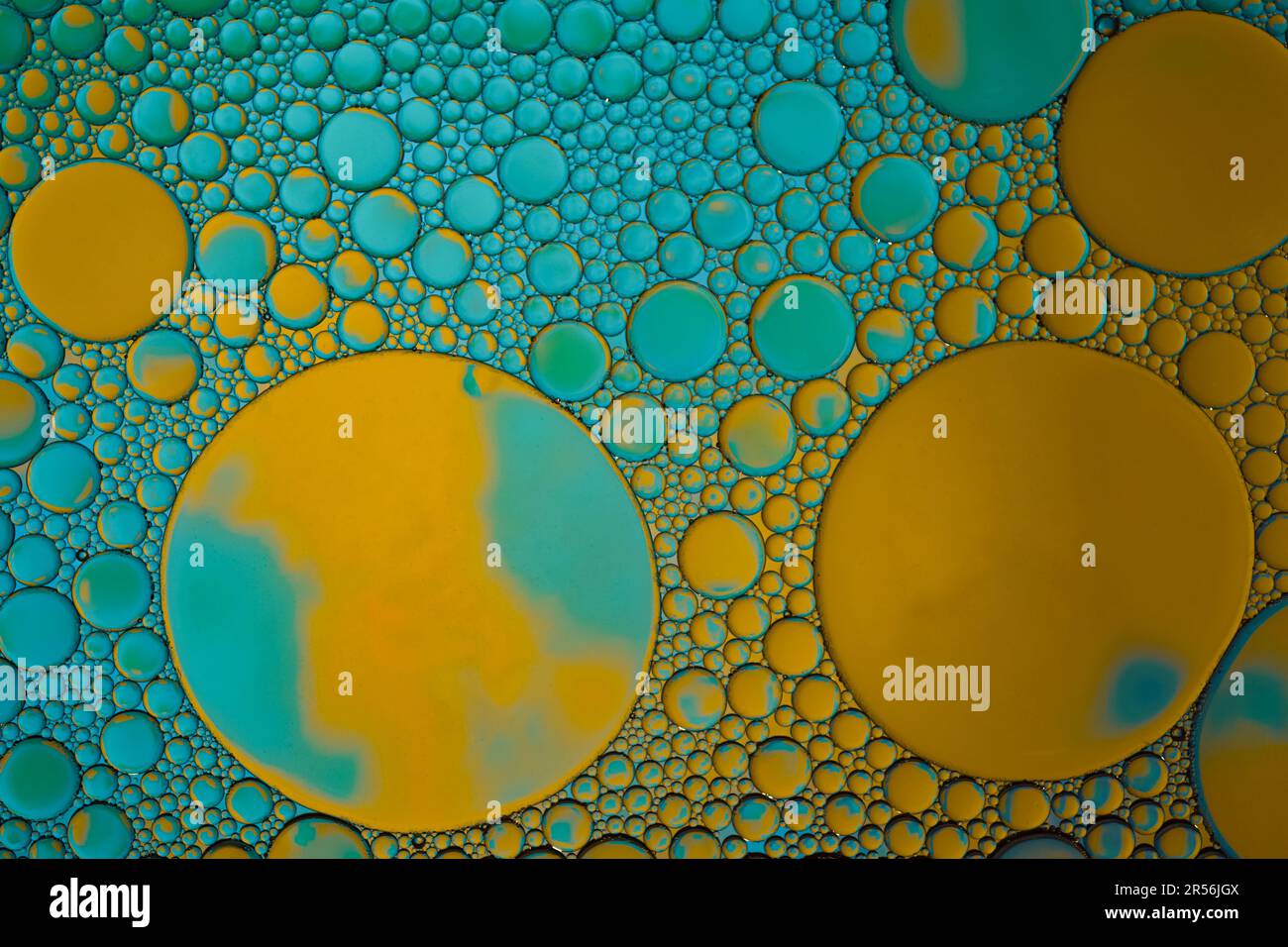 multi colored oil circles on the water, colorful background Stock Photo ...