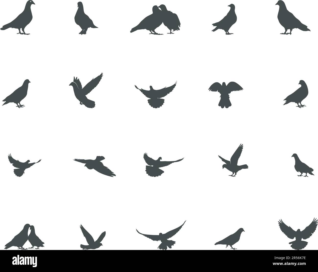 Pigeon silhouette, Pigeon vector illustration, Pigeon bird silhouette Stock Vector