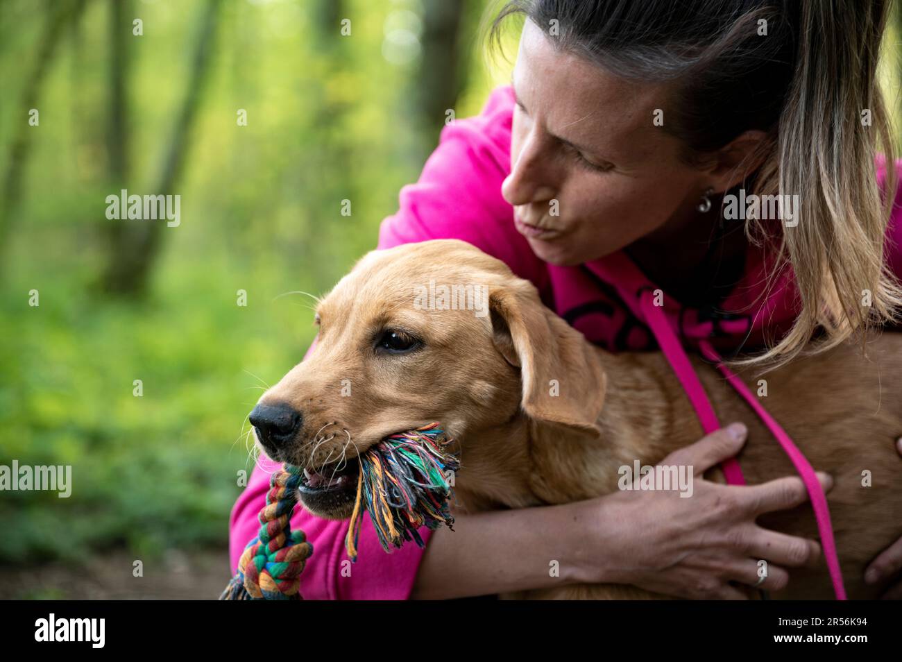 Young female owner cuddling and kissing her adorable golden labrador