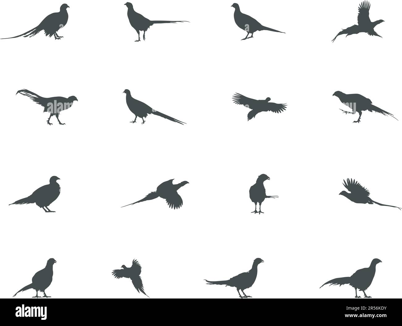 Pheasant silhouette, Flying pheasant silhouette, Pheasant SVG, Pheasant