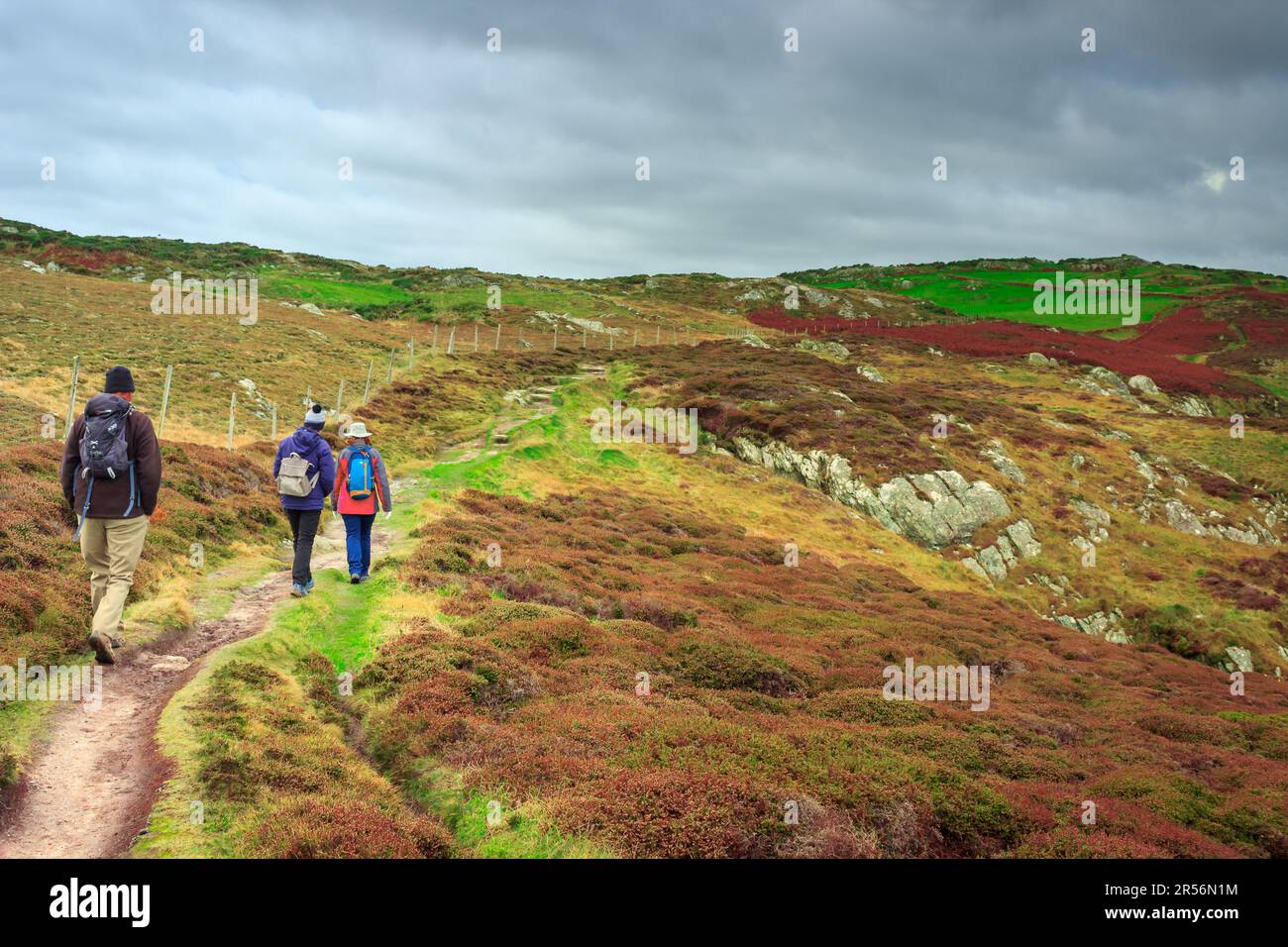 Autumn walkers, rocky heathland paths Stock Photo