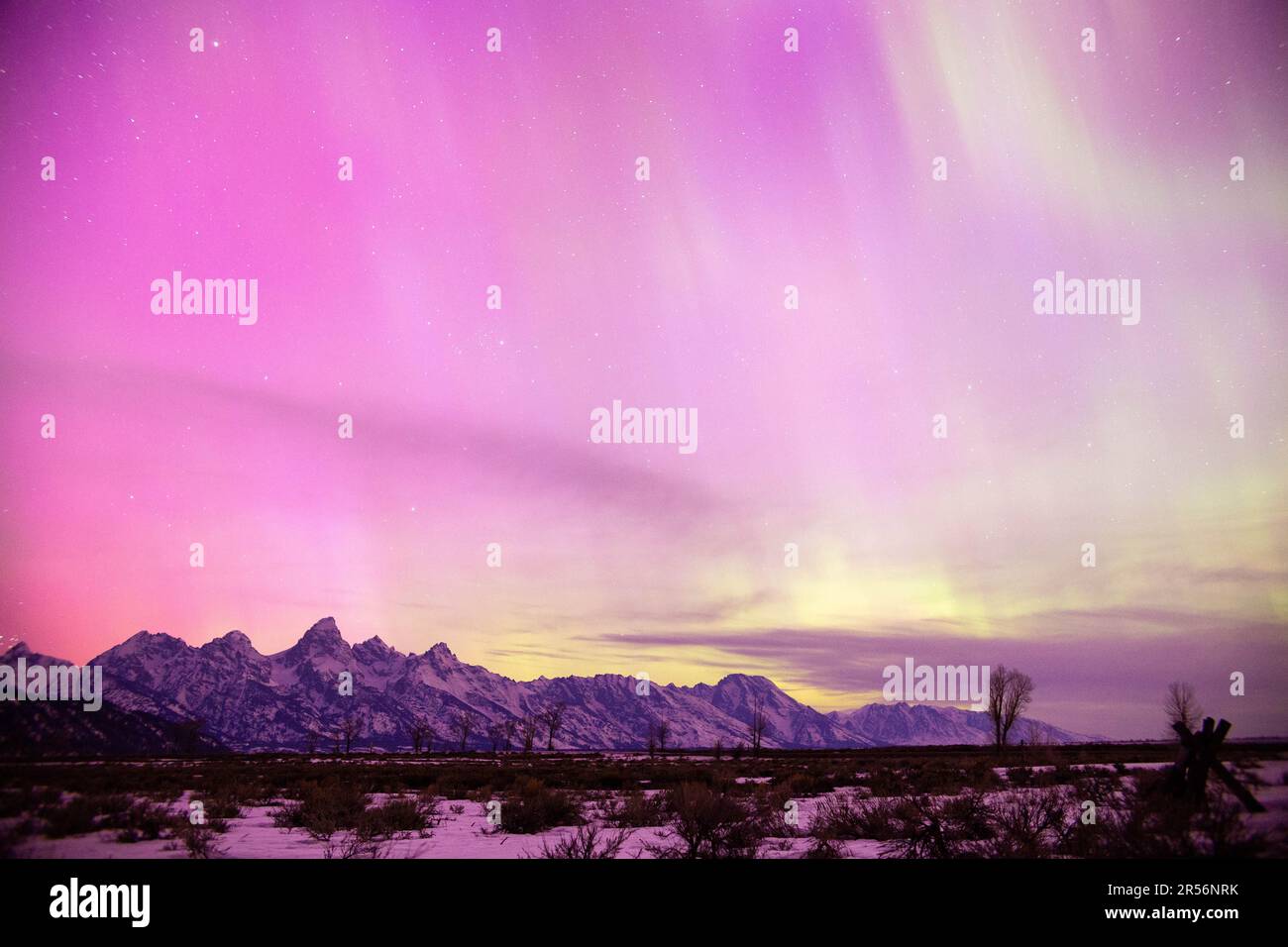 Northern lights filling the night sky above the Teton Mountains. Grand
