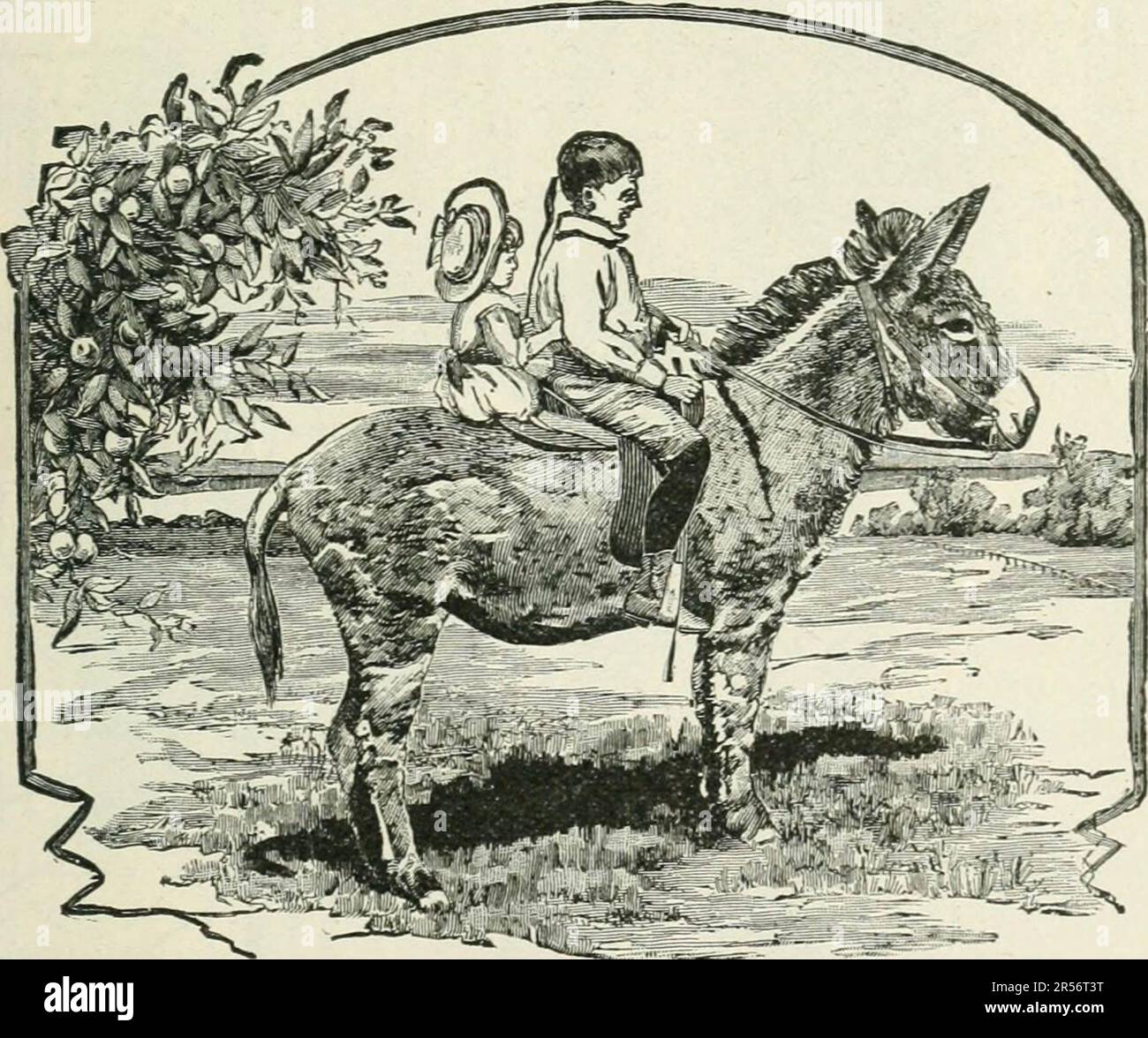 "Over the range to the Golden Gate a complete tourist's guide to