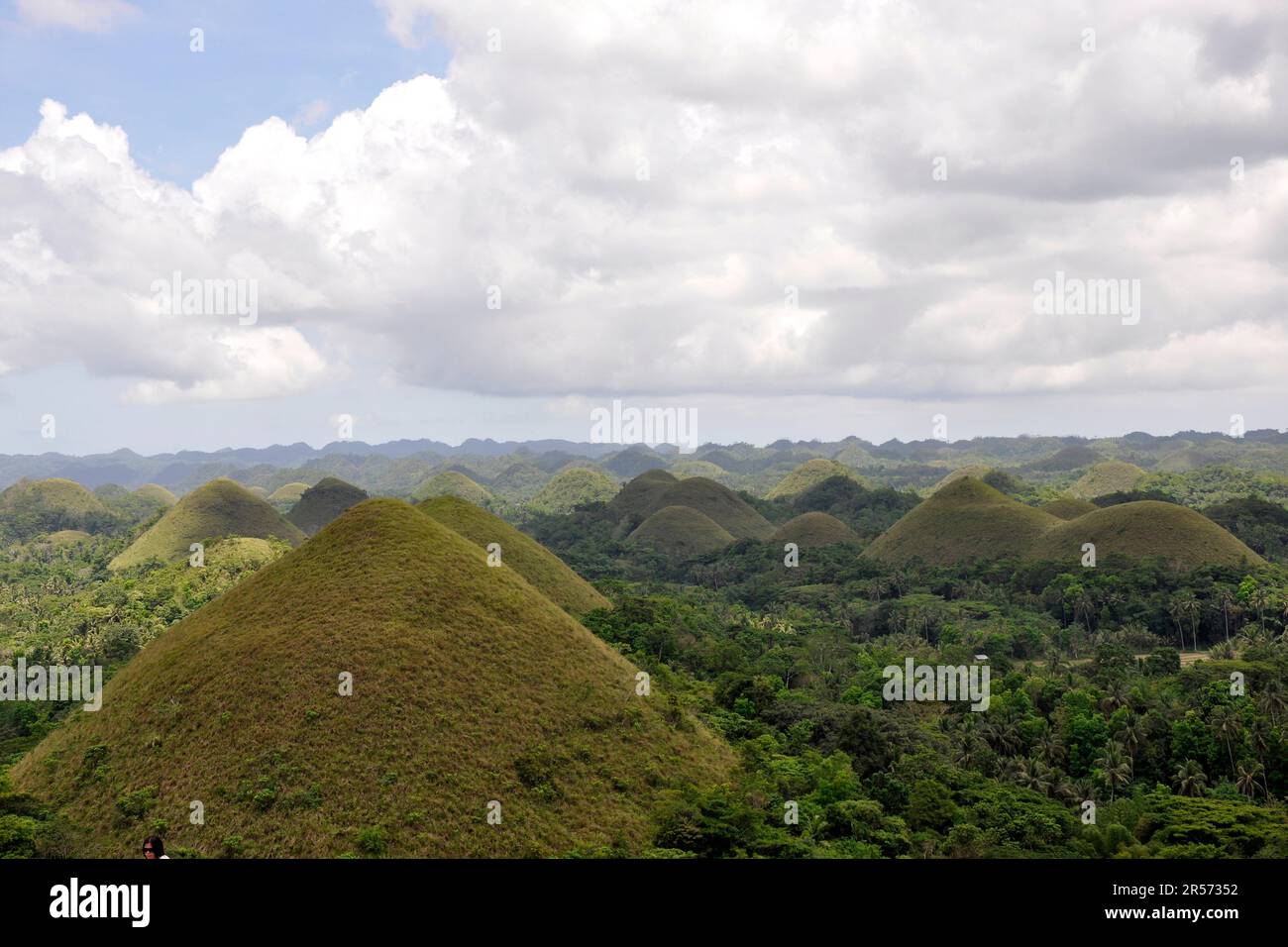 Philippines. Bohol Chocolate hills Stock Photo