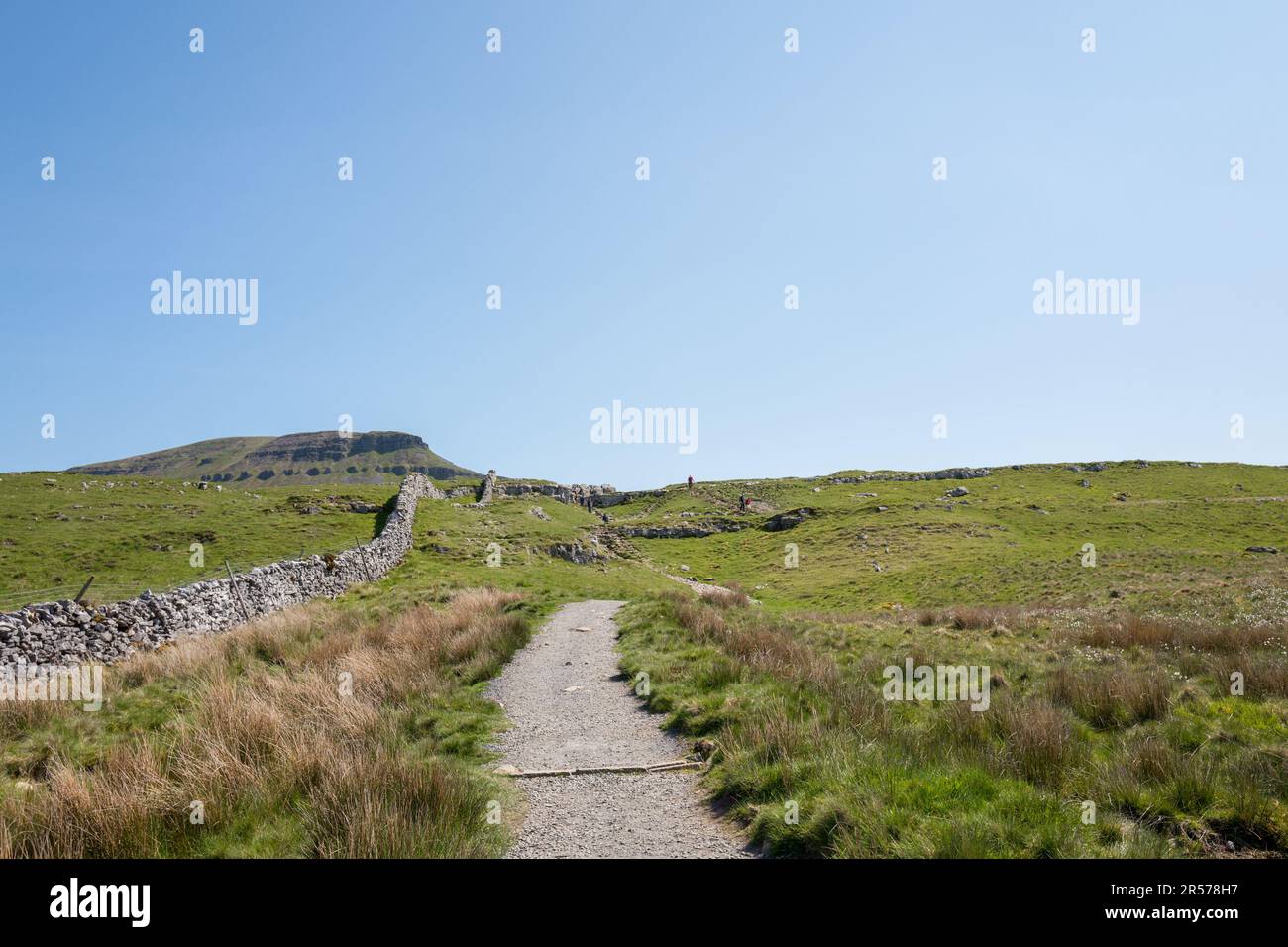 Walkers on the Footpath too PenyGhent, one of the three peaks in Yorkshire Stock Photo Alamy