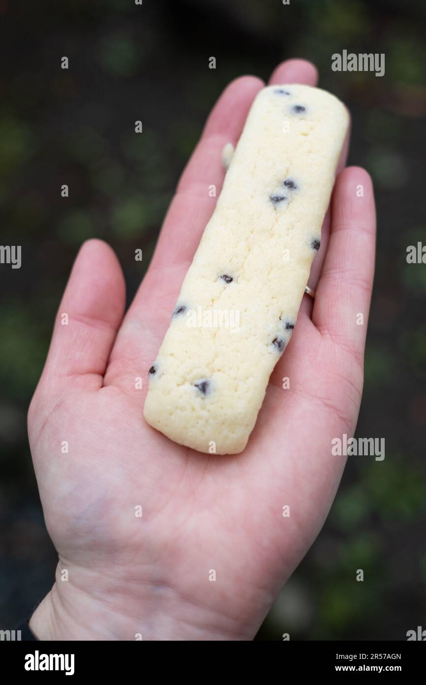 Melonpan hi-res stock photography and images - Alamy
