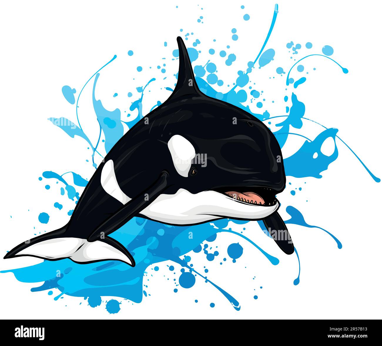 illustration of killer whale jumping out of water Stock Vector Image ...