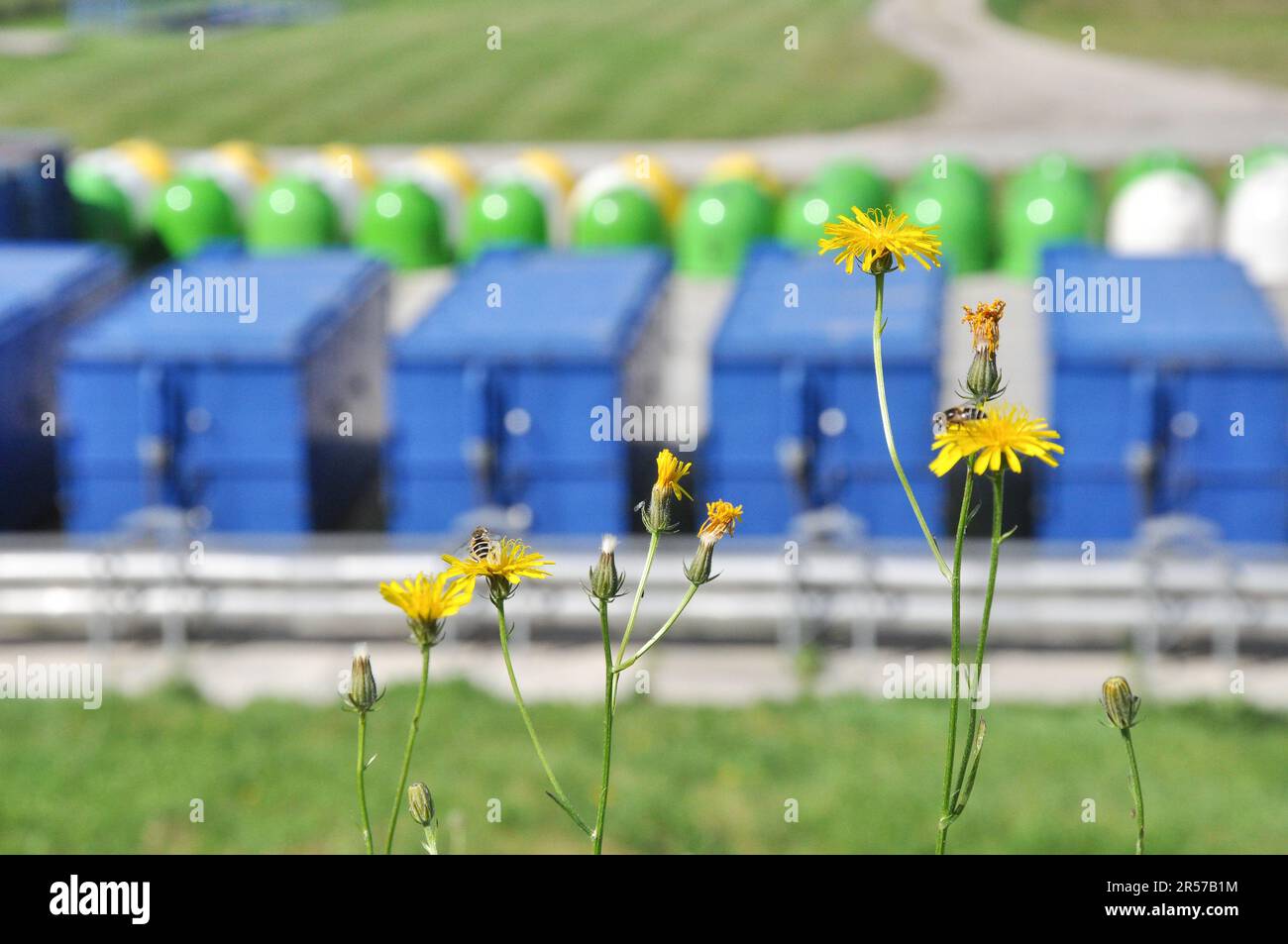 Nature against trash, flowers in the foreground in a waste recycling