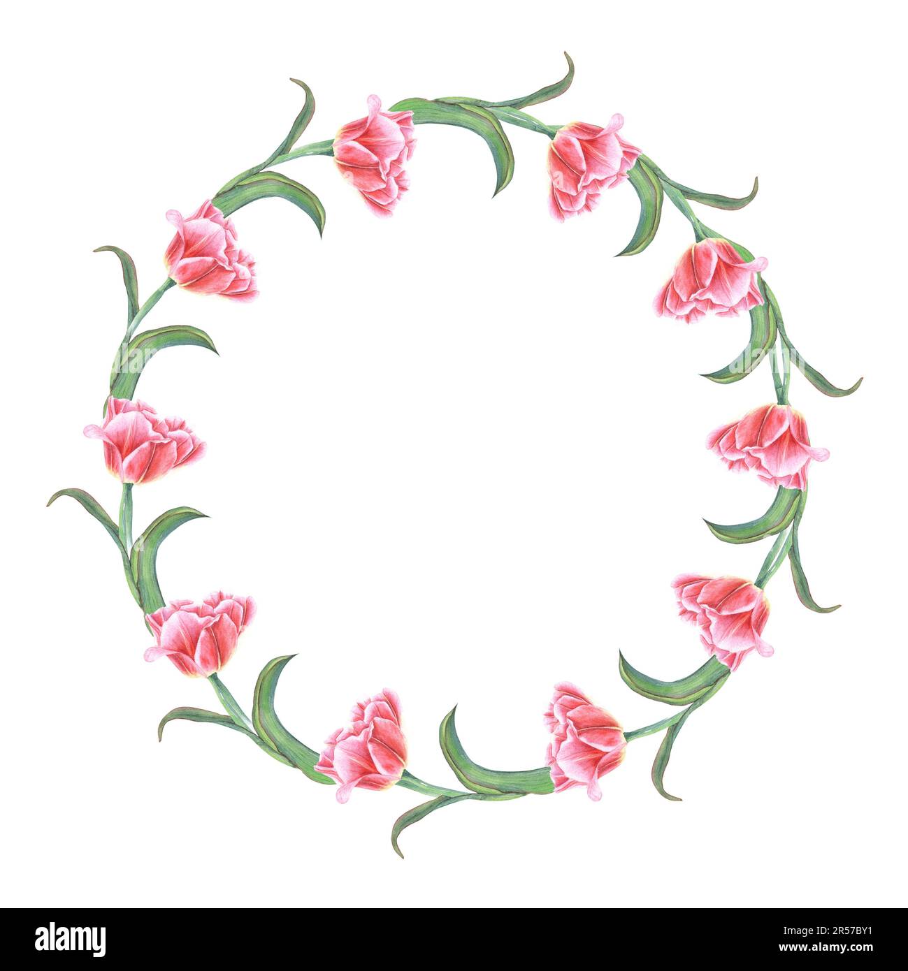 Watercolor wreath of pink tulips isolated on white background ...