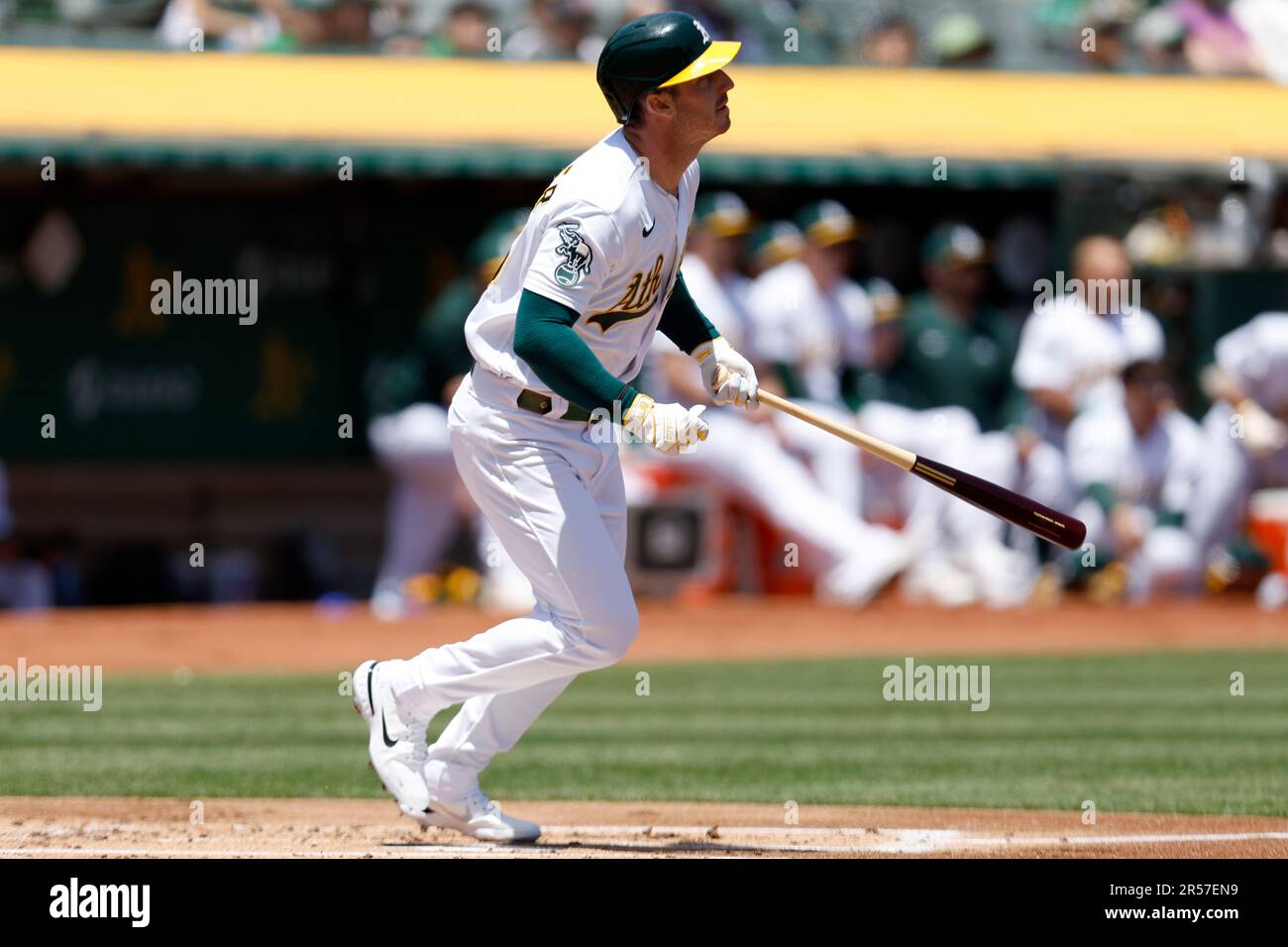 This is a 2023 photo of left fielder Brent Rooker (25) of the Oakland  Athletics baseball team. This image reflects the Oakland Athletics active  roster as of Thursday, Feb. 23, 2023, when