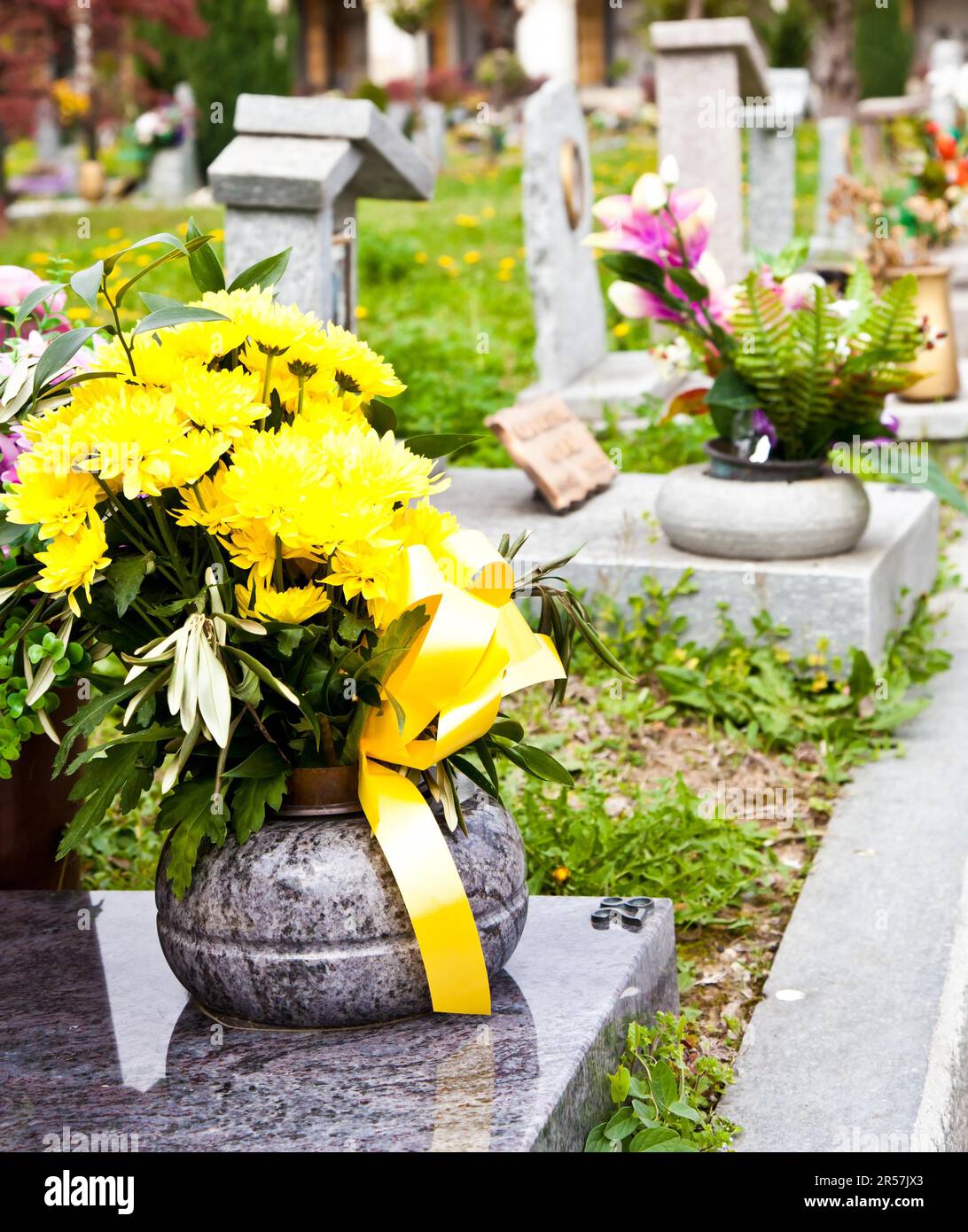 Collection of the most beautiful and moving architectures examples in