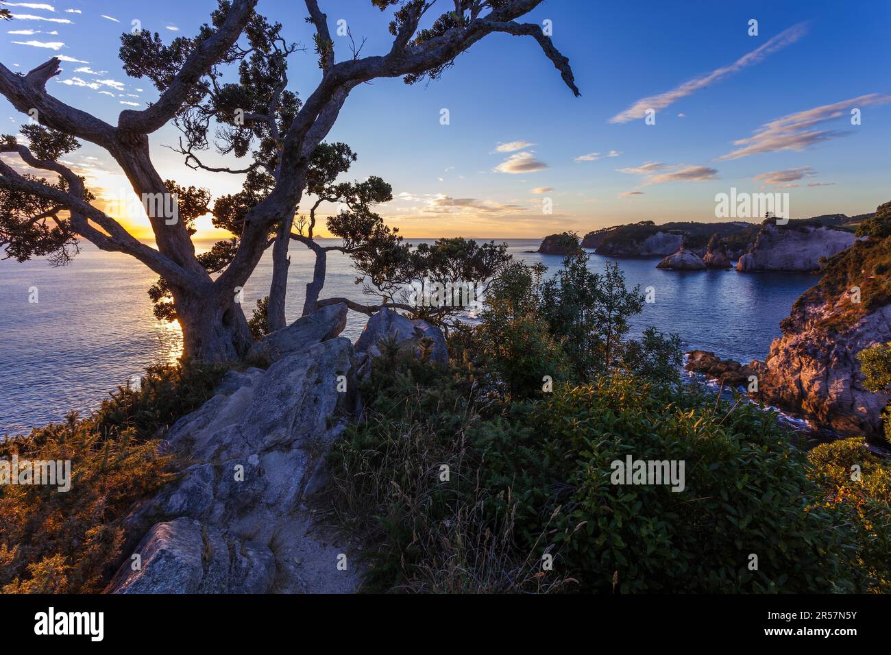 Sunrise at Te Pare Point at Hahei in New Zealand Stock Photo