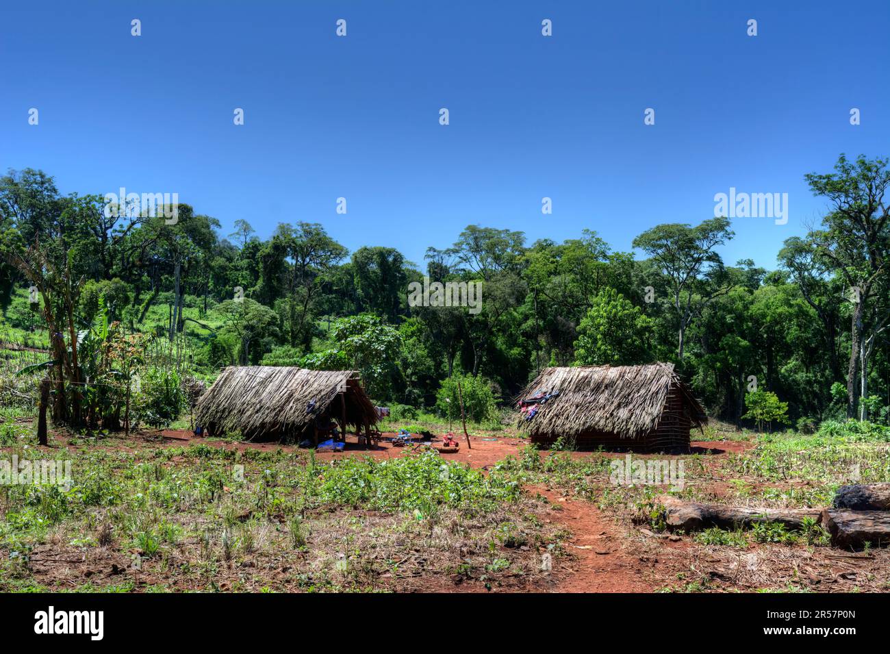 Comunidad aborigen jejy miri in Misiones, Argentina Stock Photo