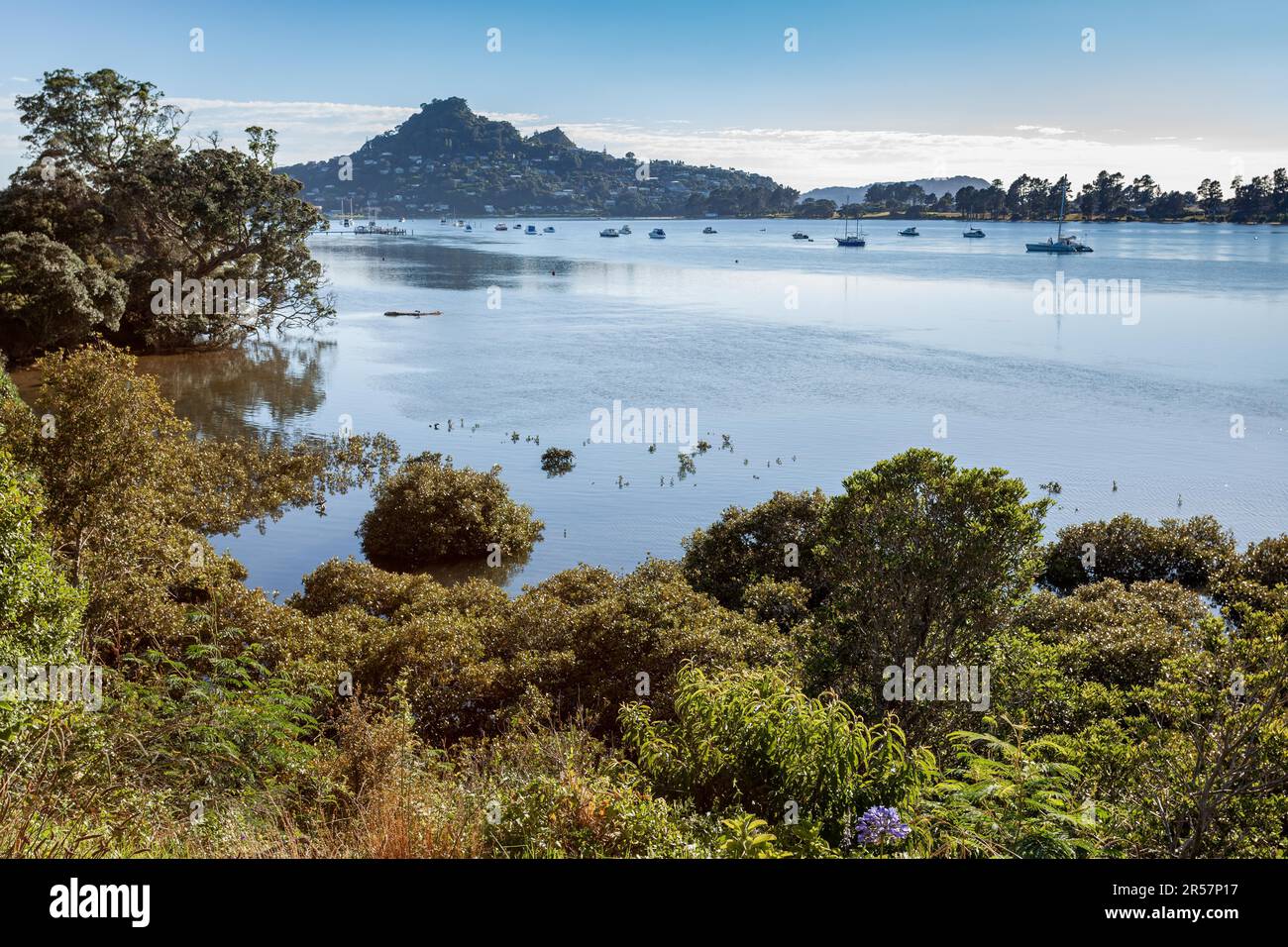 View of Tairua Inlet in New Zealand Stock Photo