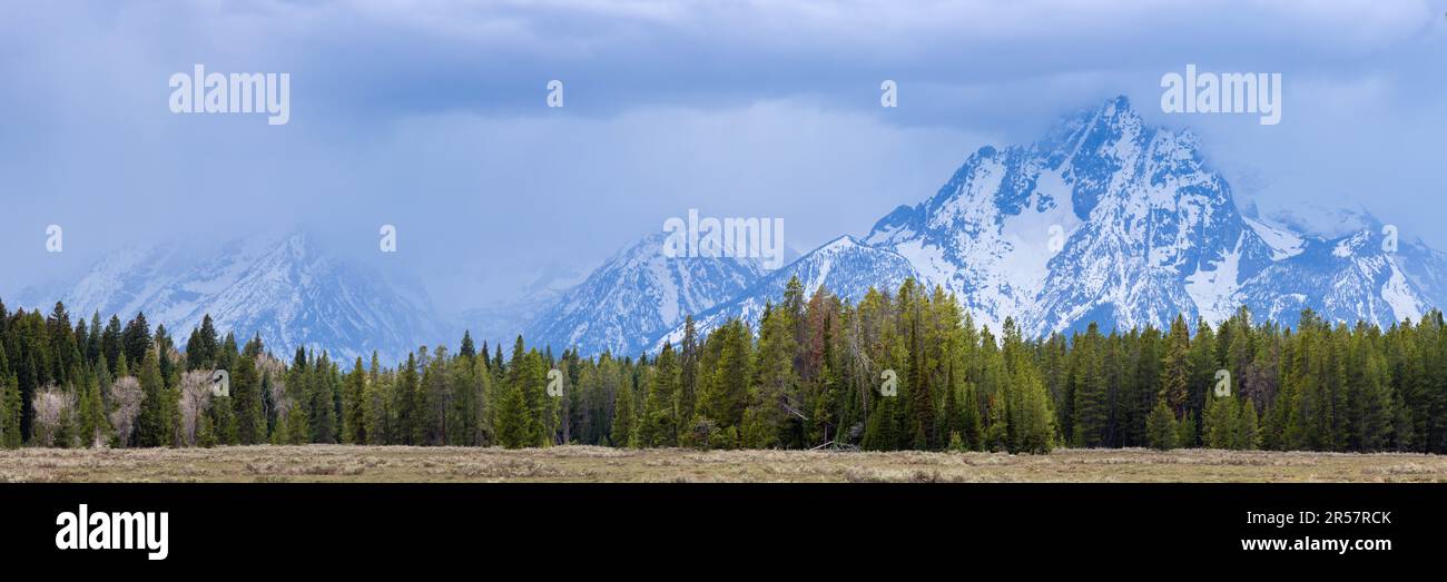 Storms and rain showers overtaking the Teton Mountains above a forest