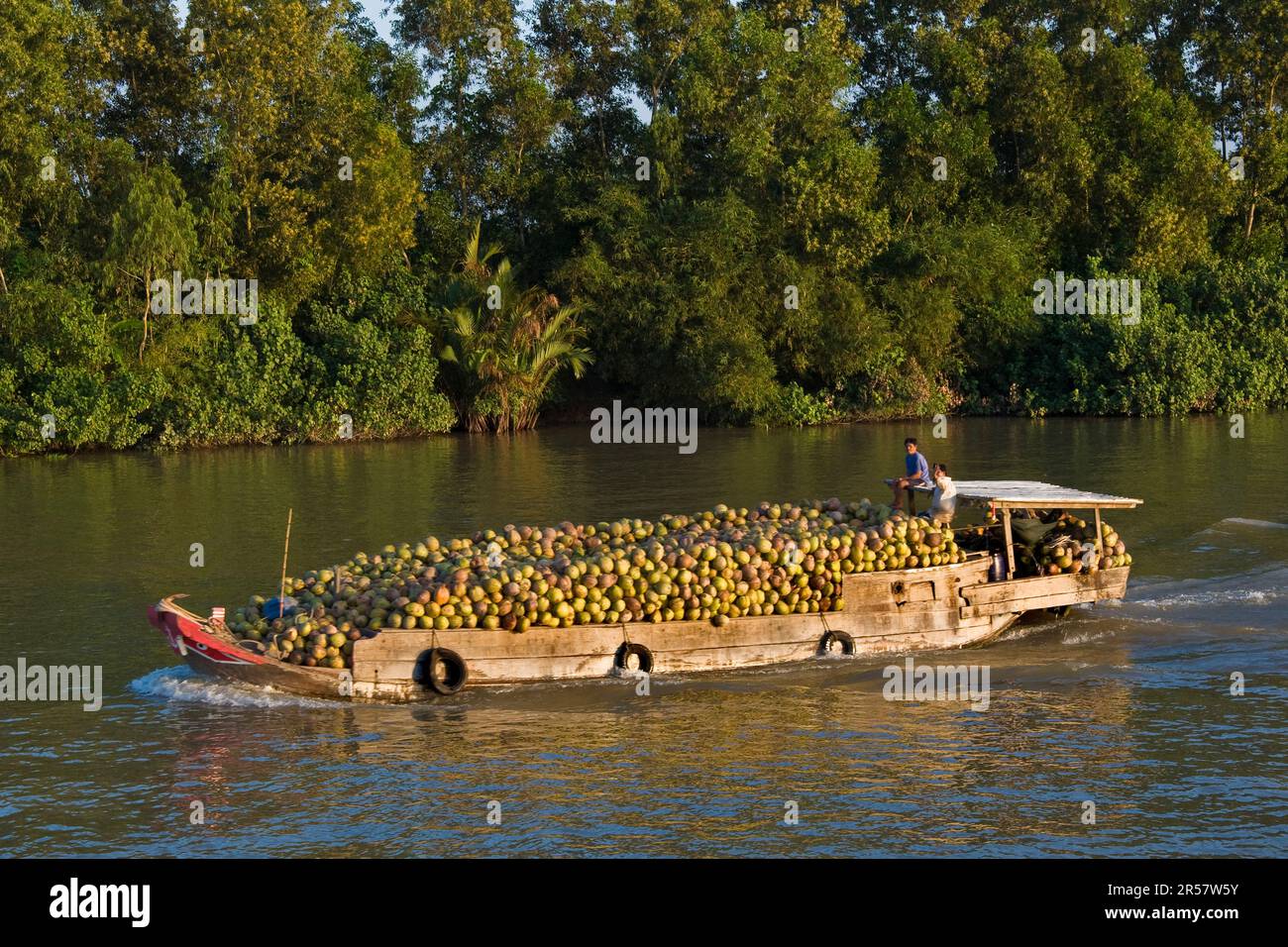 Boat transport. Mekong delta. Vietnam Stock Photo - Alamy