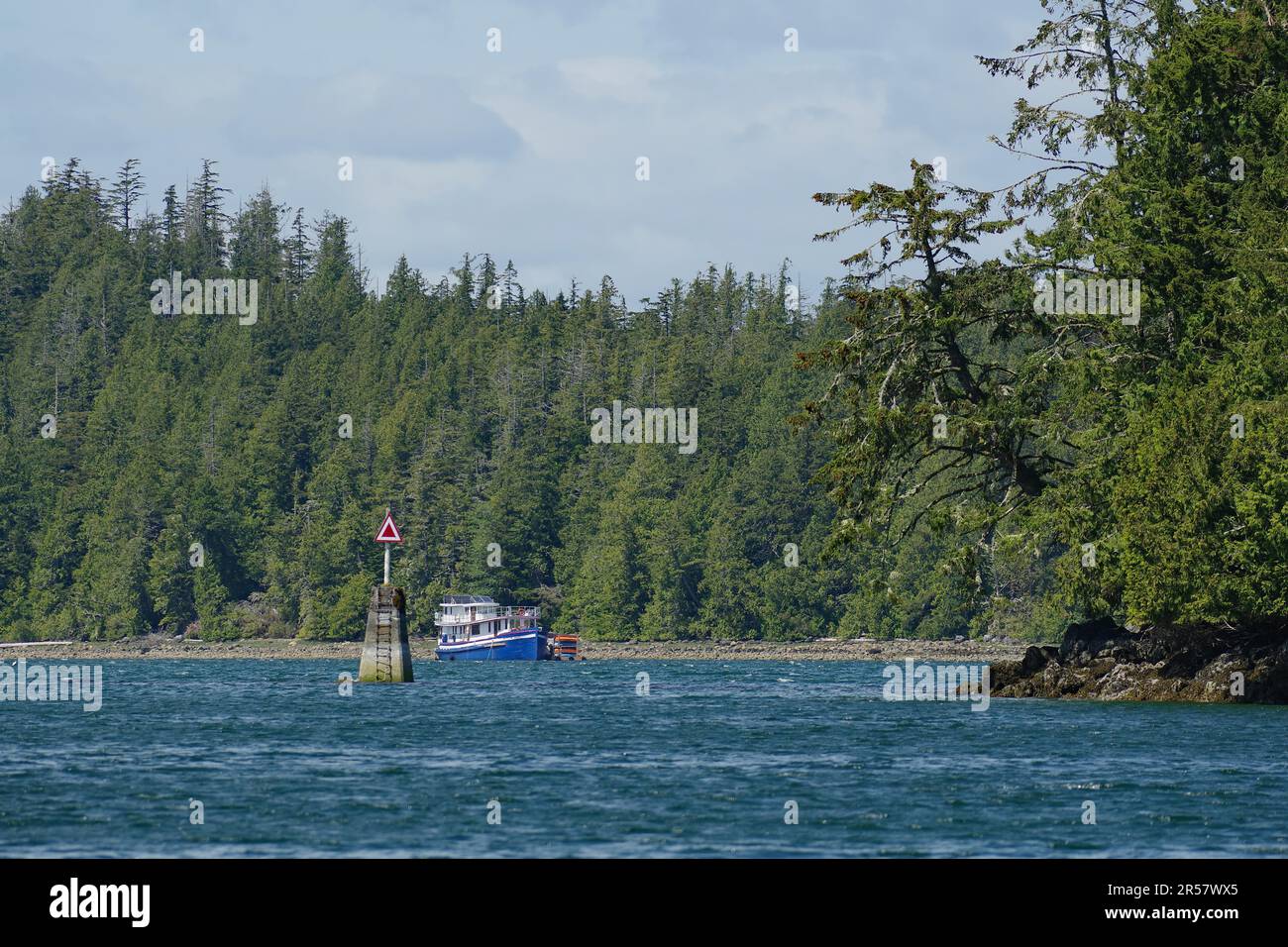 Dense forest and small fishing boat, National Park, Ucluelet, Coast
