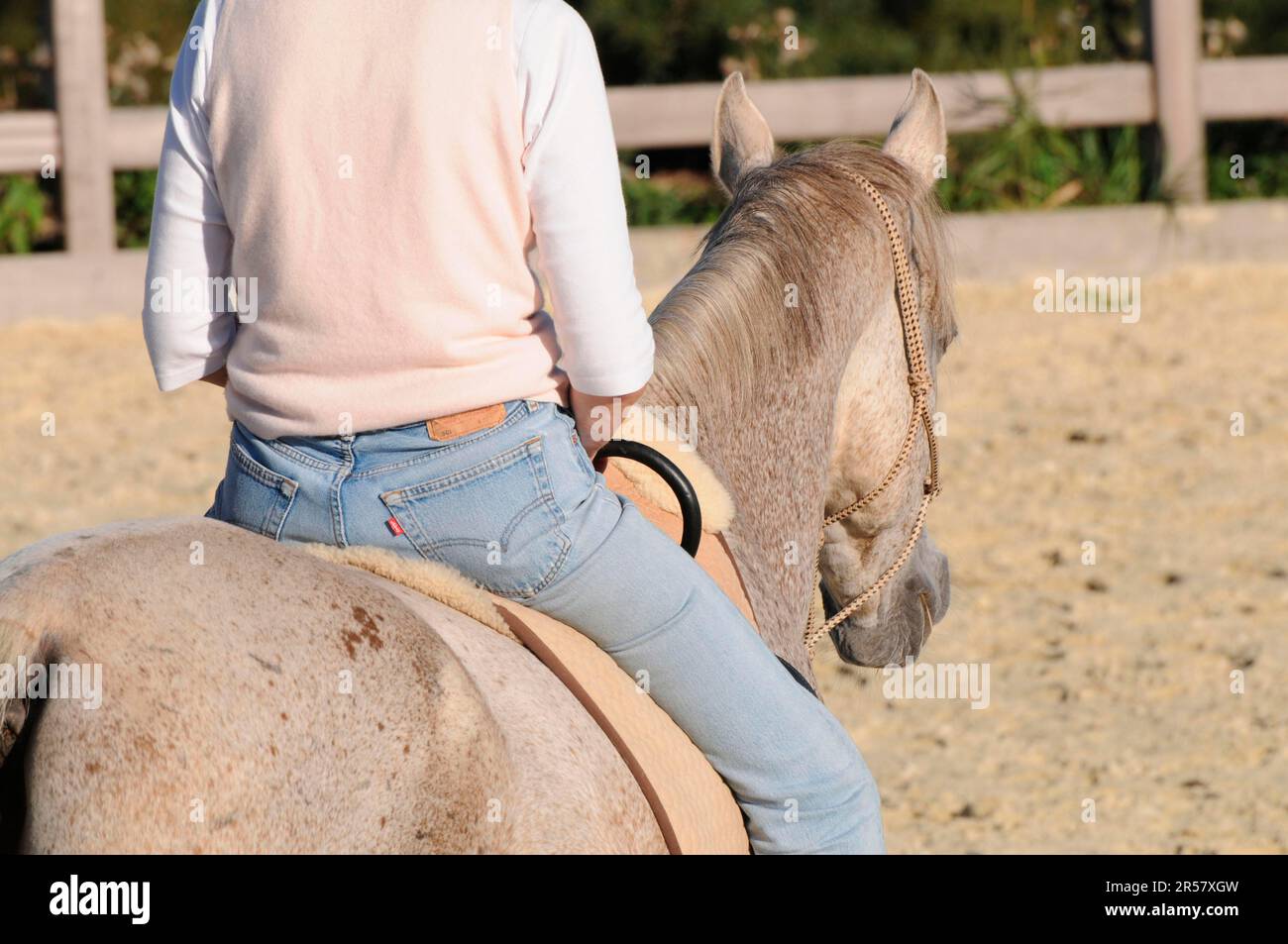 Riding on the lead rein, AchalTekkiner, equine assisted therapy