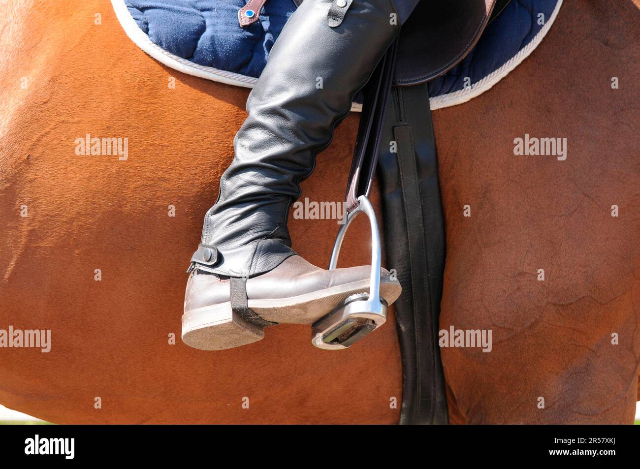 Riding boots and stirrups, stirrups, English riding, girth Stock Photo