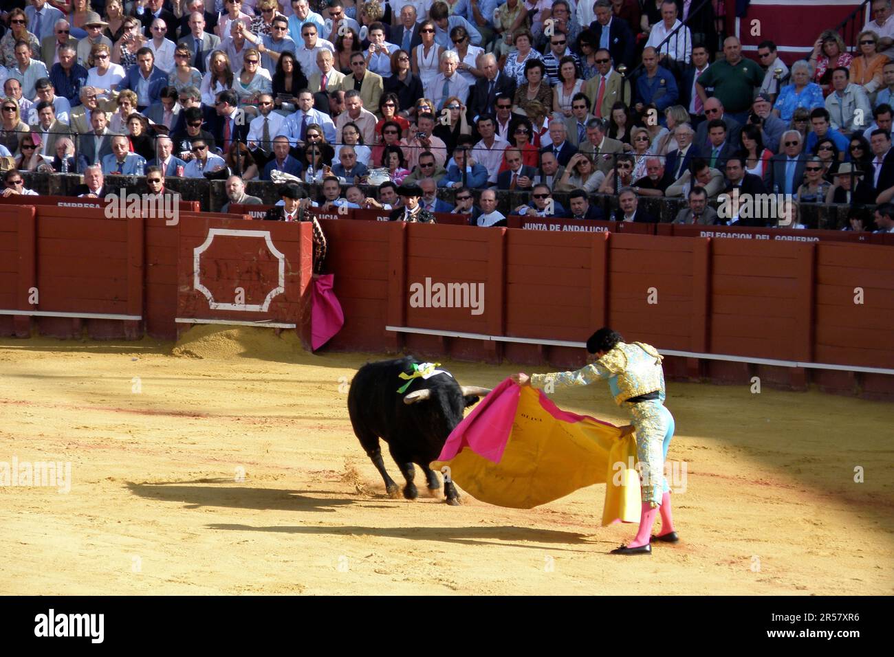 Bullfighting. Plaza de Toros. Seville. Spain Stock Photo - Alamy