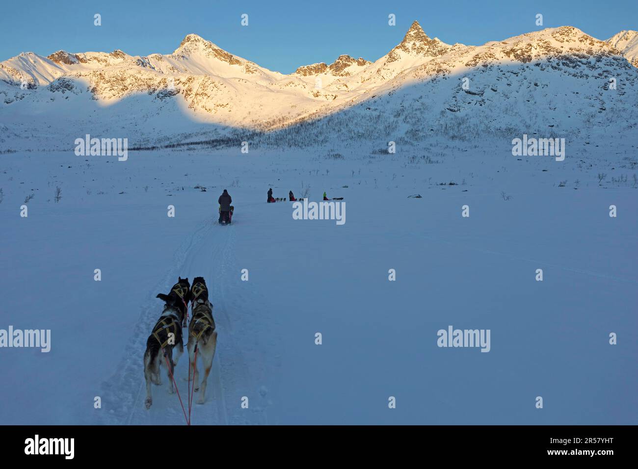 Winter dog sledge ride near Tromso against a grandiose mountain backdrop, Lapland, Norway Stock Photo