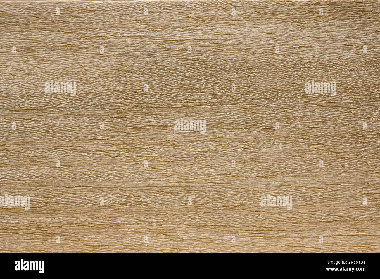 Koto wood (Pterygota bequaertii), tropical timber Stock Photo