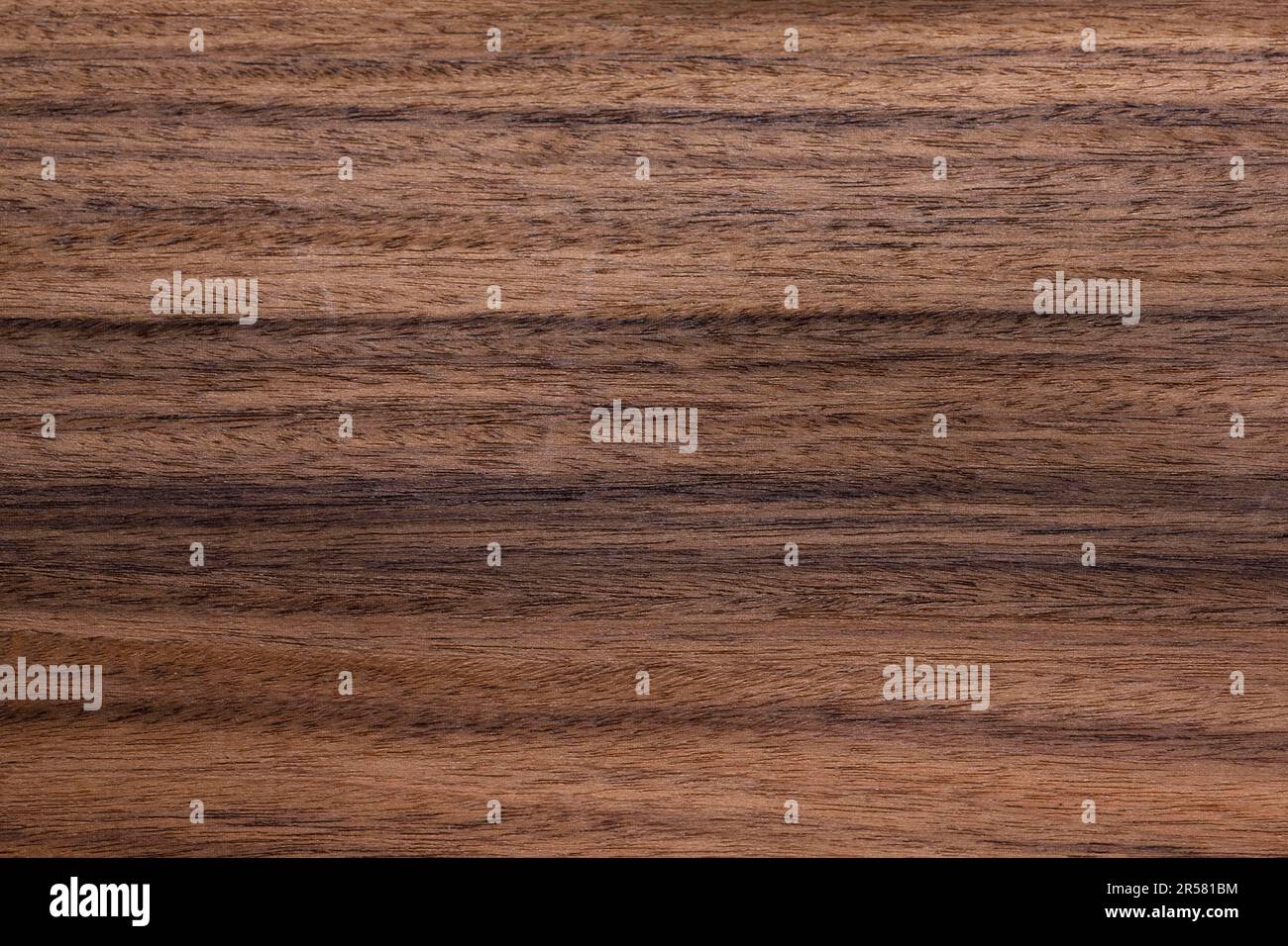 Kingwood (Dalbergia cearensis), wood, Brazilian Rosewood, tropical timber Stock Photo