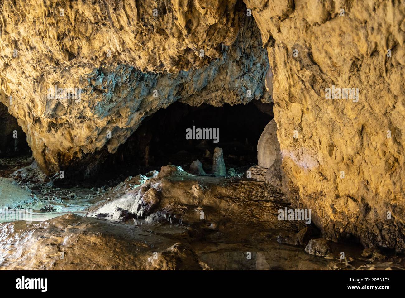 Limestone Bat Cave Jaskinia Nietoperzowa known for multiple species of nesting bats in Jerzmanowice village in Bedkowska Valley near Cracow in Poland Stock Photo
