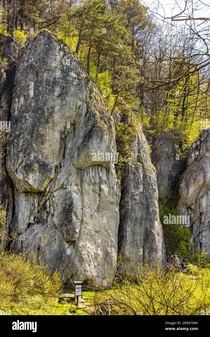 Labajowa and Lipna Sciana limestone rock and climbing wall in Bedkowska Valley within Jura Krakowsko-Czestochowska upland near Cracow in Lesser Poland Stock Photo