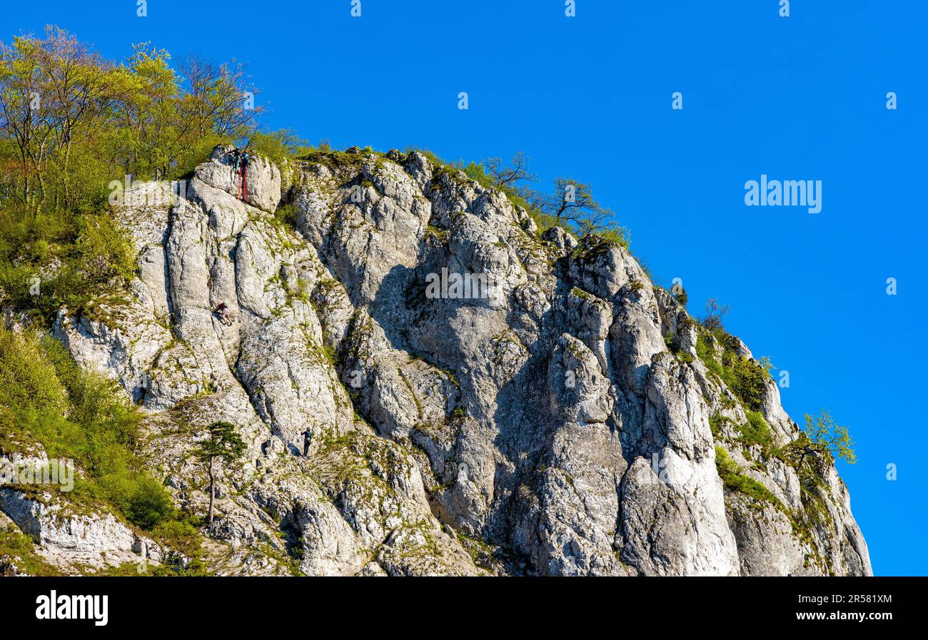 Sokolica limestone rock with free climbers in Bedkowska Valley within Jura Krakowsko-Czestochowska upland near Cracow in Lesser Poland Stock Photo