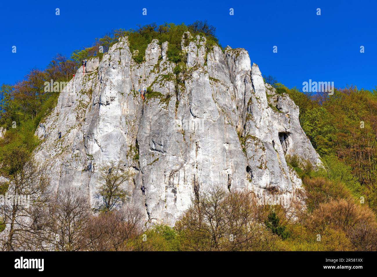 Sokolica limestone rock with free climbers in Bedkowska Valley within Jura Krakowsko-Czestochowska upland near Cracow in Lesser Poland Stock Photo