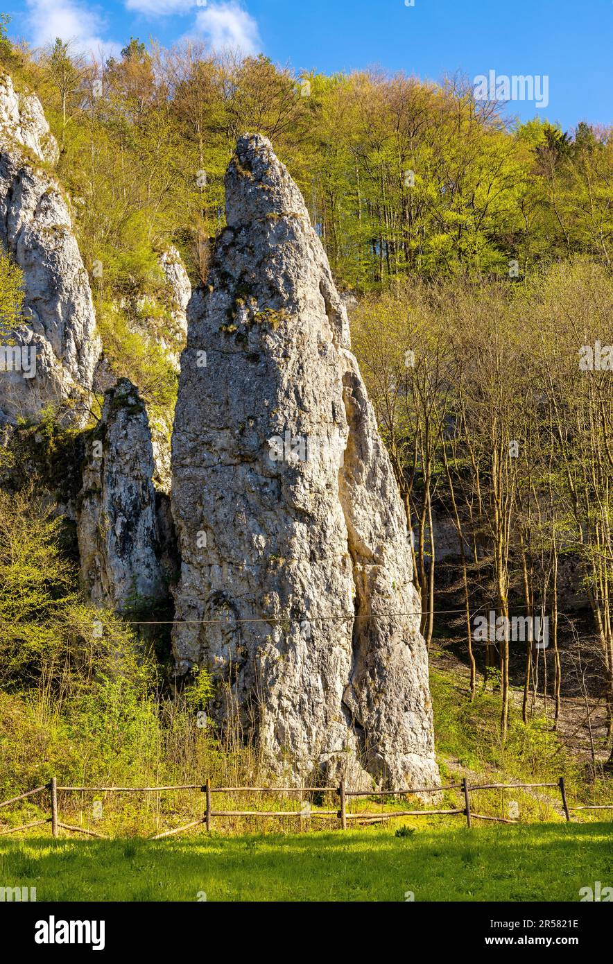 Needle Iglica limestone rock in Bedkowska Valley within Jura Krakowsko-Czestochowska upland near Cracow in Lesser Poland Stock Photo