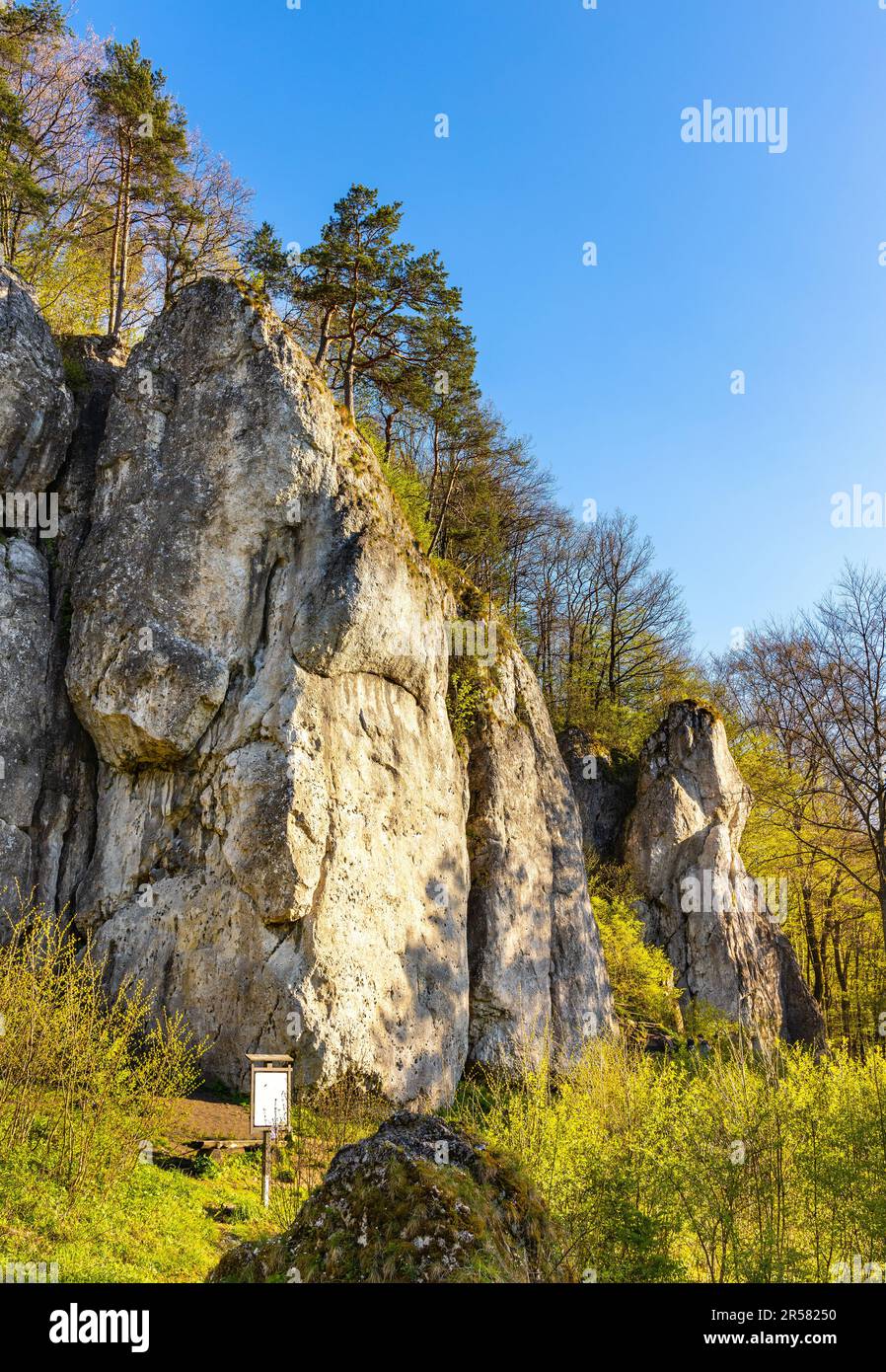 Labajowa and Lipna Sciana limestone rock and climbing wall in Bedkowska Valley within Jura Krakowsko-Czestochowska upland near Cracow in Lesser Poland Stock Photo