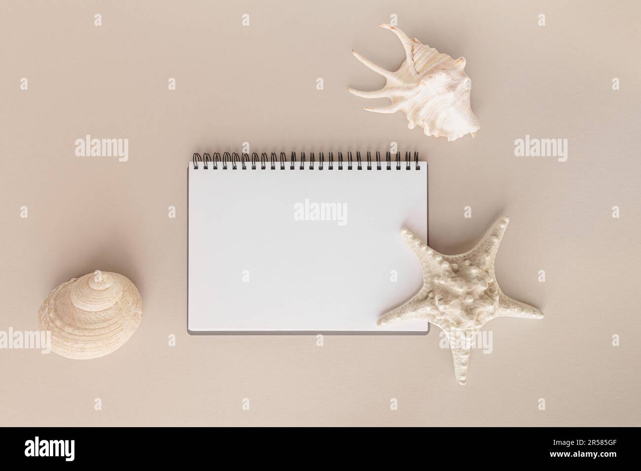 Blank diary, notepad mockup and three shells on beige background Stock ...