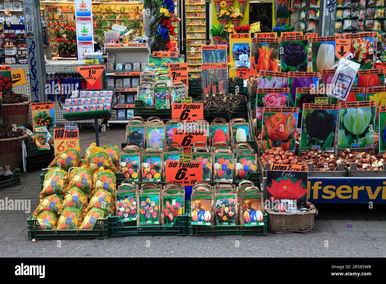 Flower bulb sales, Amsterdam, North Holland, Netherlands Stock Photo