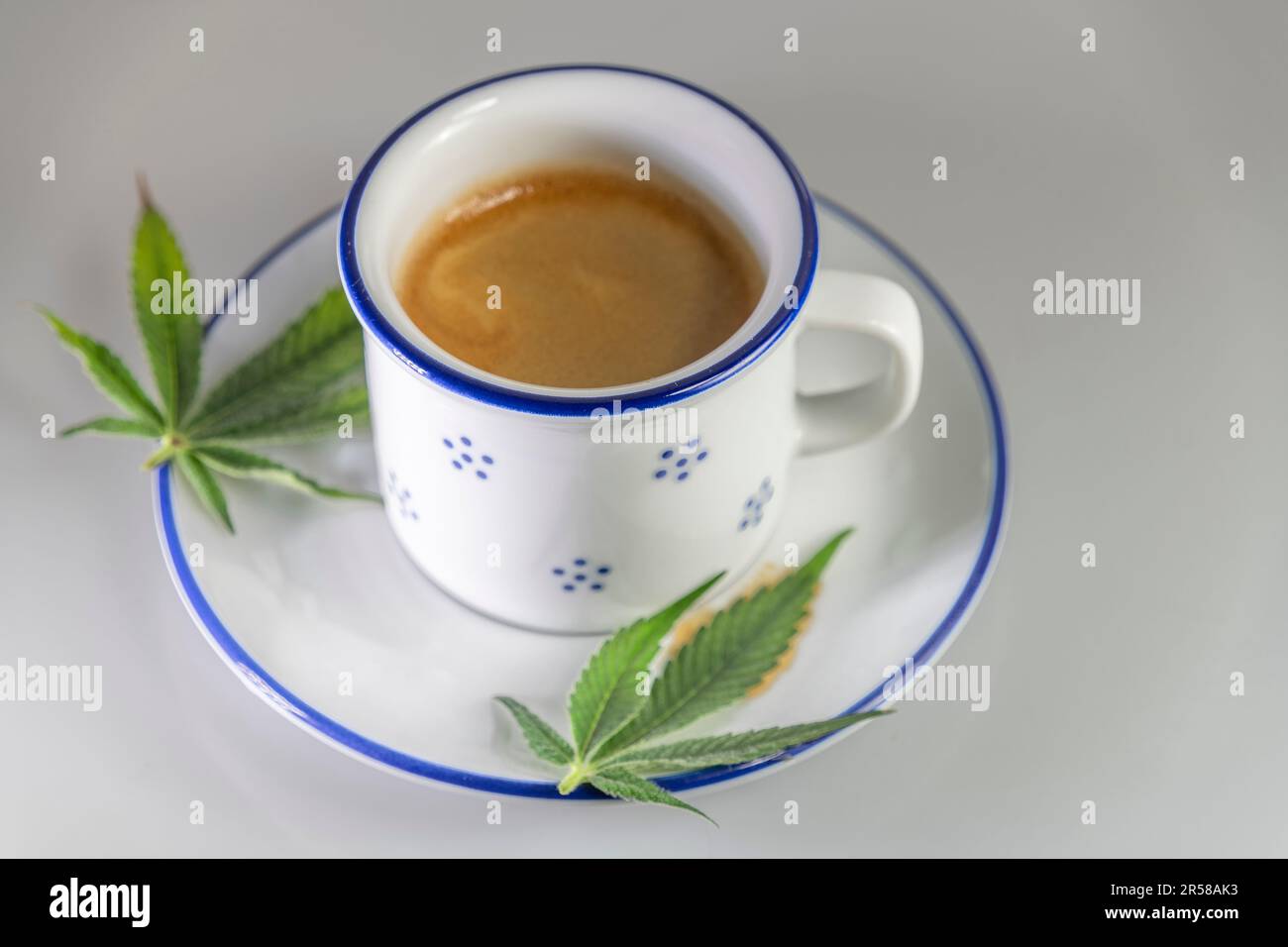 Marijuana light green leaf on blue white cup Stock Photo