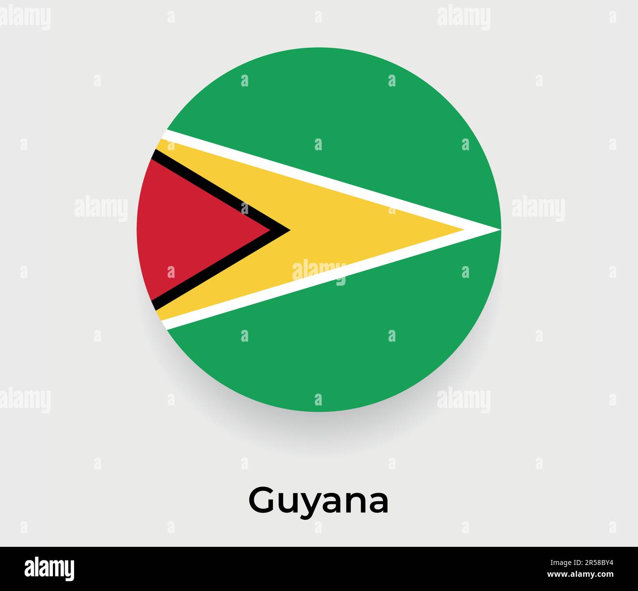 Guyana flag bubble circle round shape icon vector illustration Stock Vector