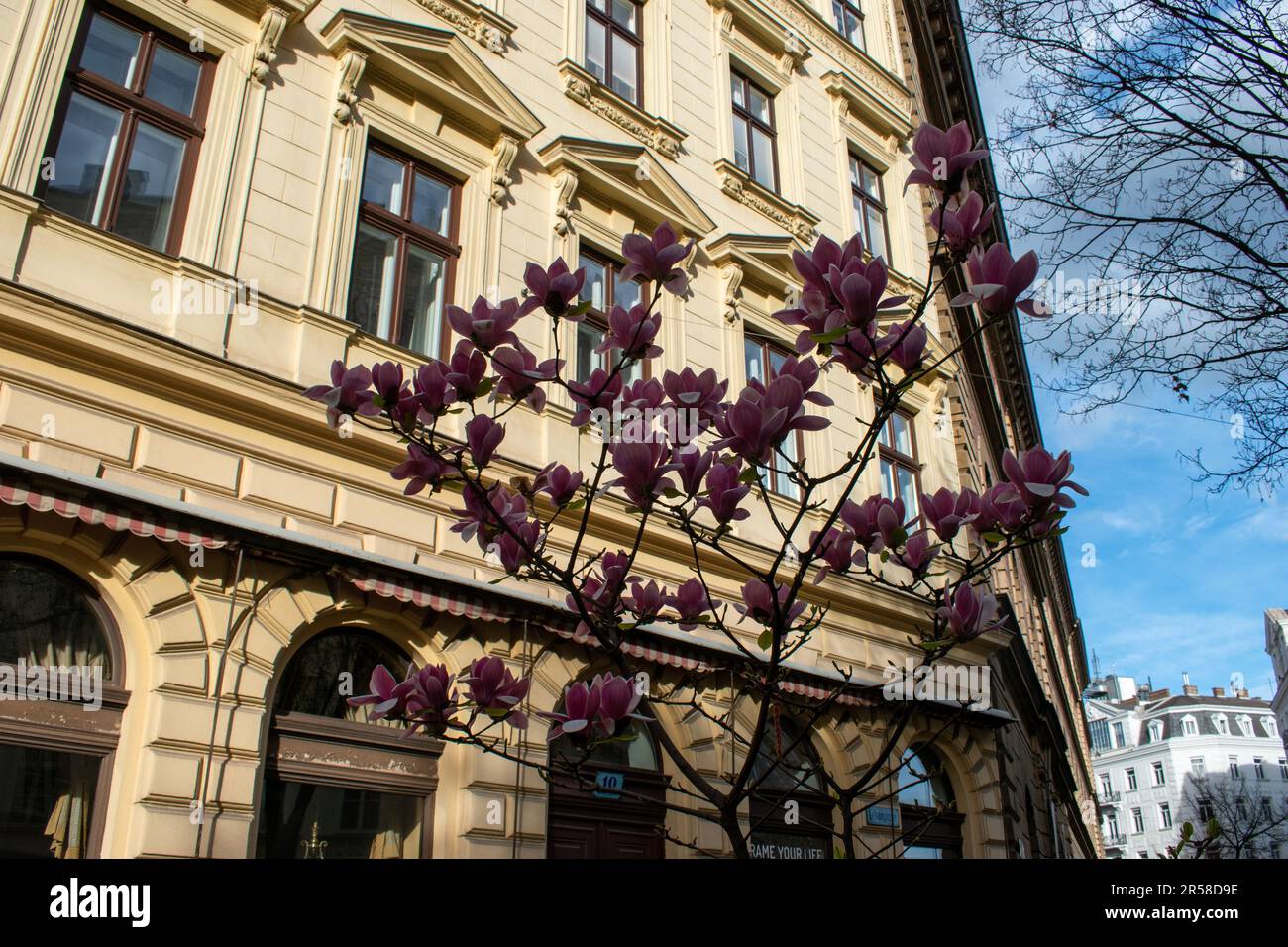 vienna, austria - 01 April 2023 outside the coffee shop, a traditional Viennese coffee shop. evening time Stock Photo