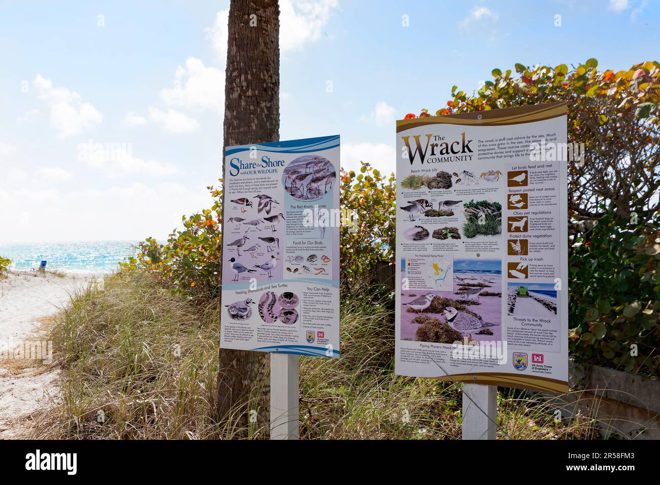 Sign explaining the meaning and importance of beach wrack, the natural material that washes ashore and acts as organic fertilizer for the ecosystem. Stock Photo